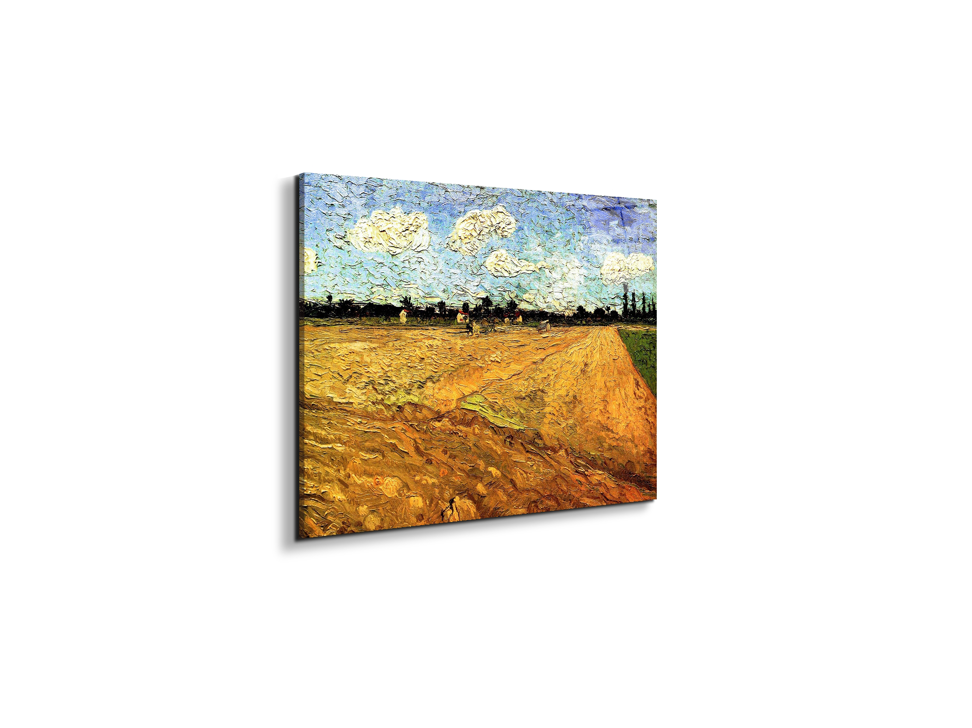ploughed-fieldas90803-#materiale_EarthArt Total Gloss/dimensioni_50x37,50