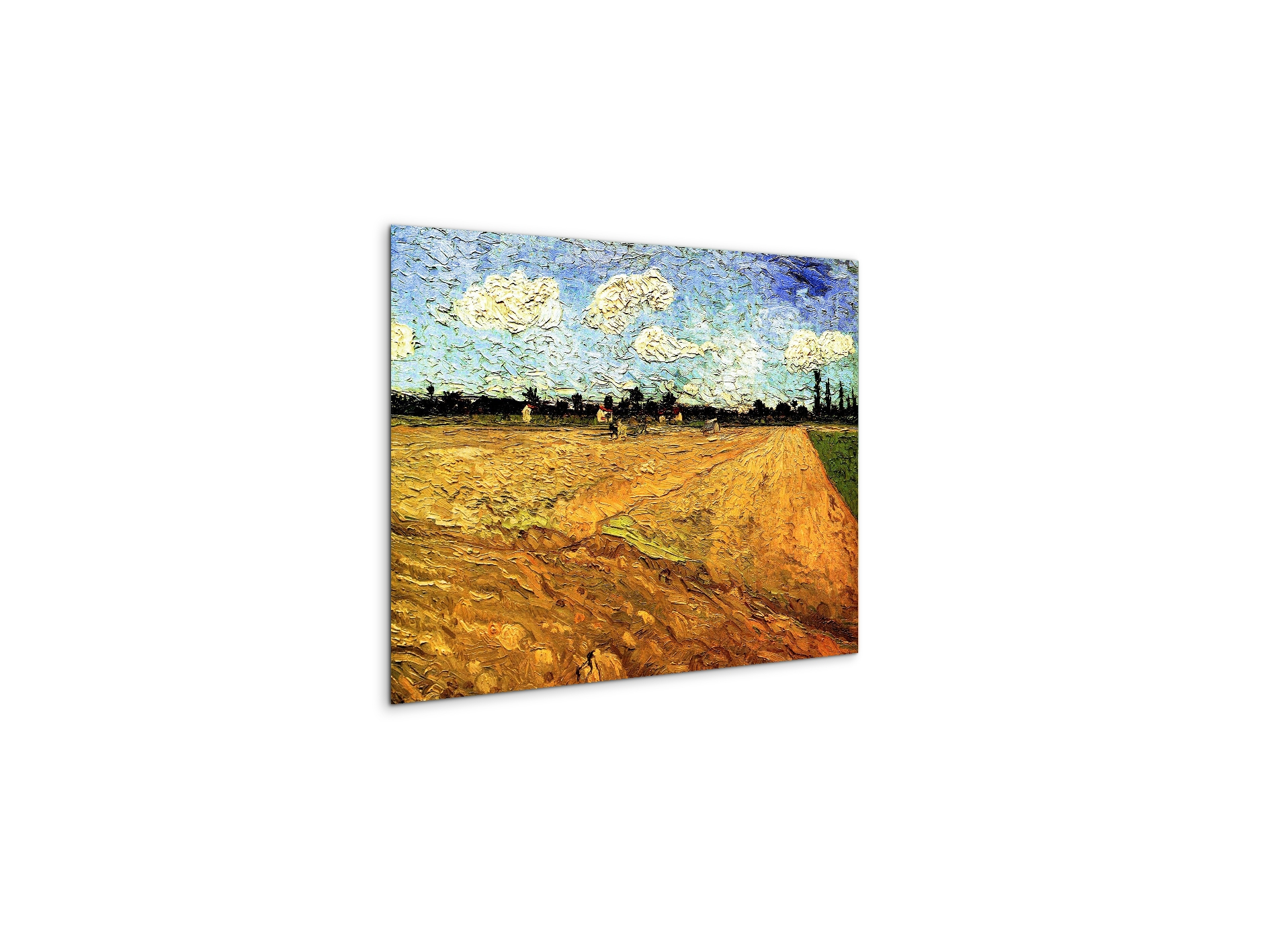 ploughed-fieldas90803-#materiale_MetalArt Materic/dimensioni_50x37,50