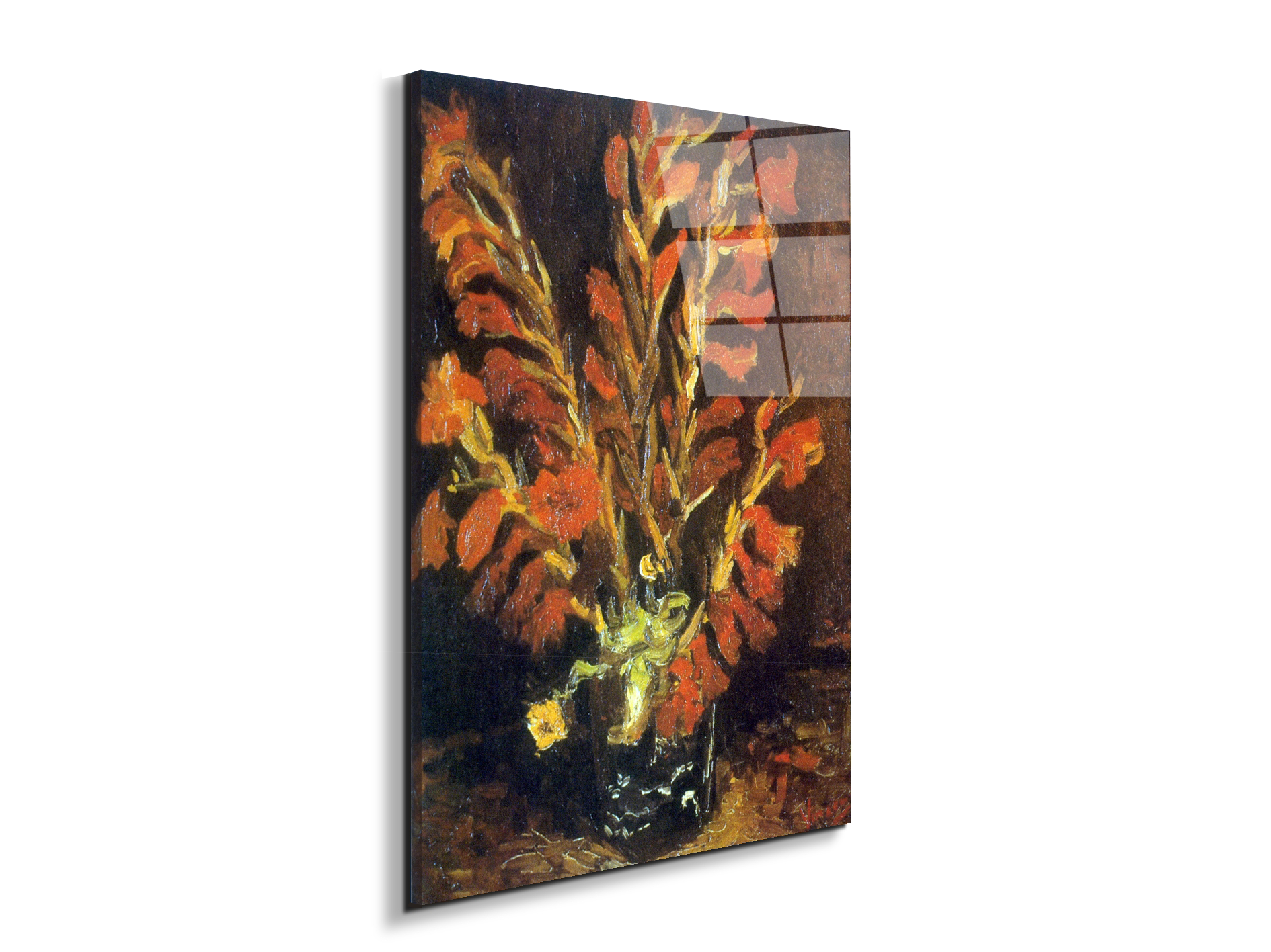 red-gladiolias90831-