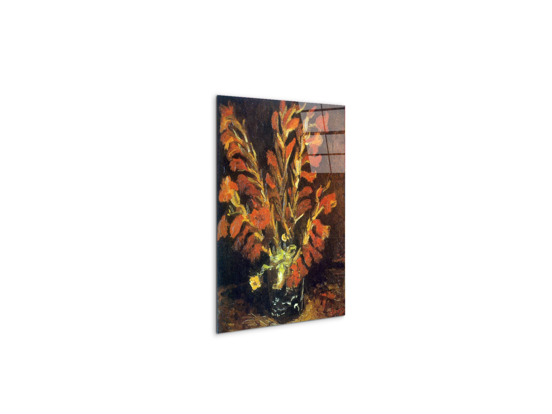 red-gladiolias90831-