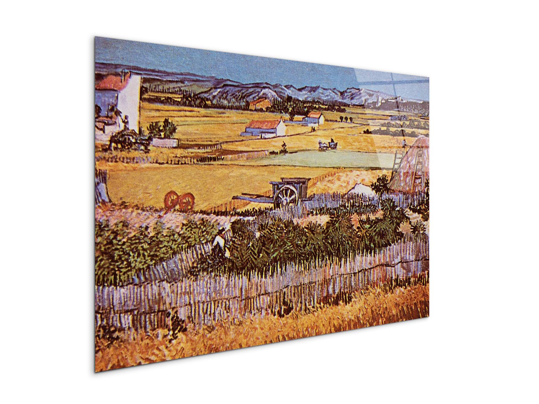 the-harvest-as90925-