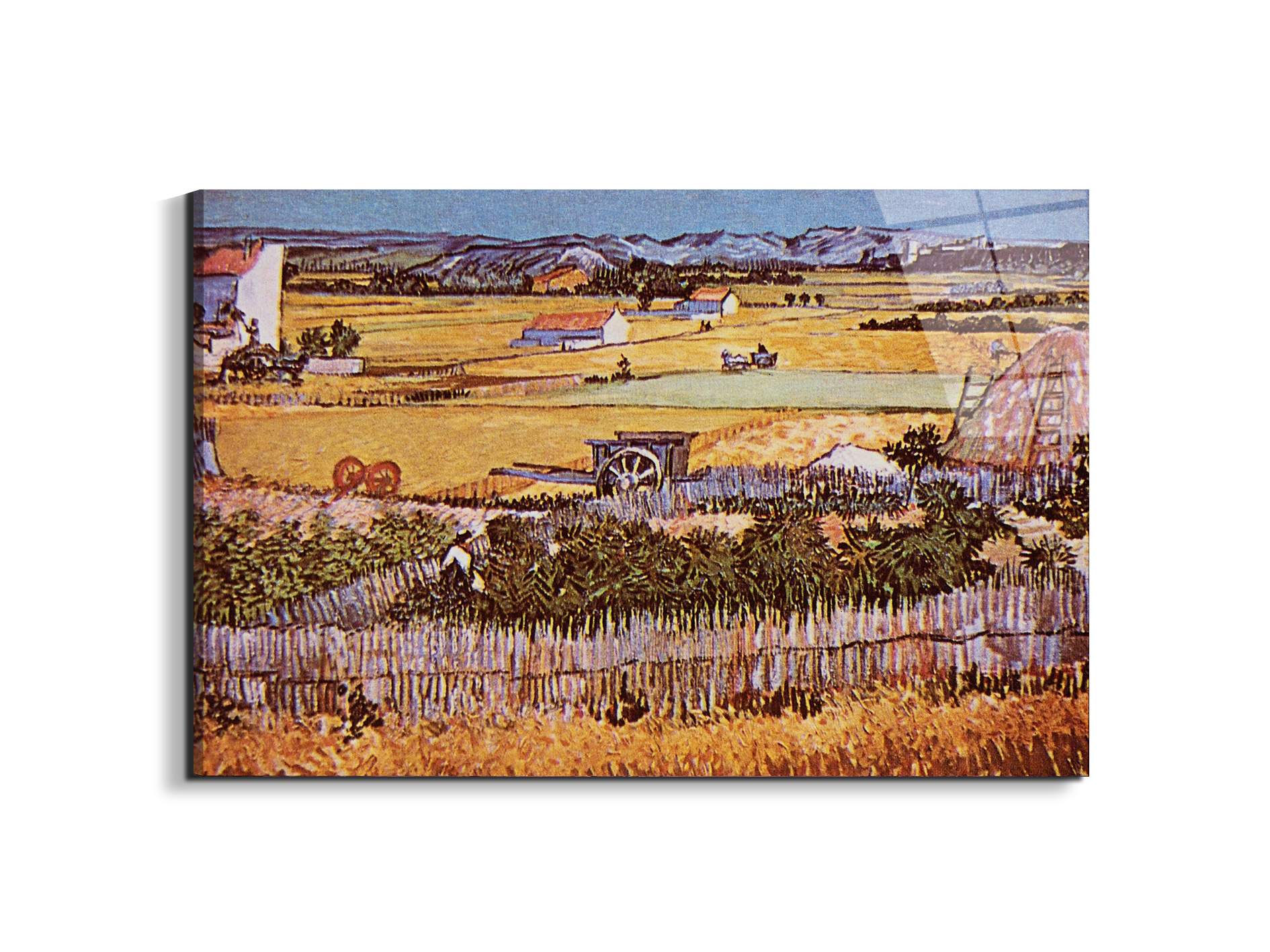 the-harvest-as90925-