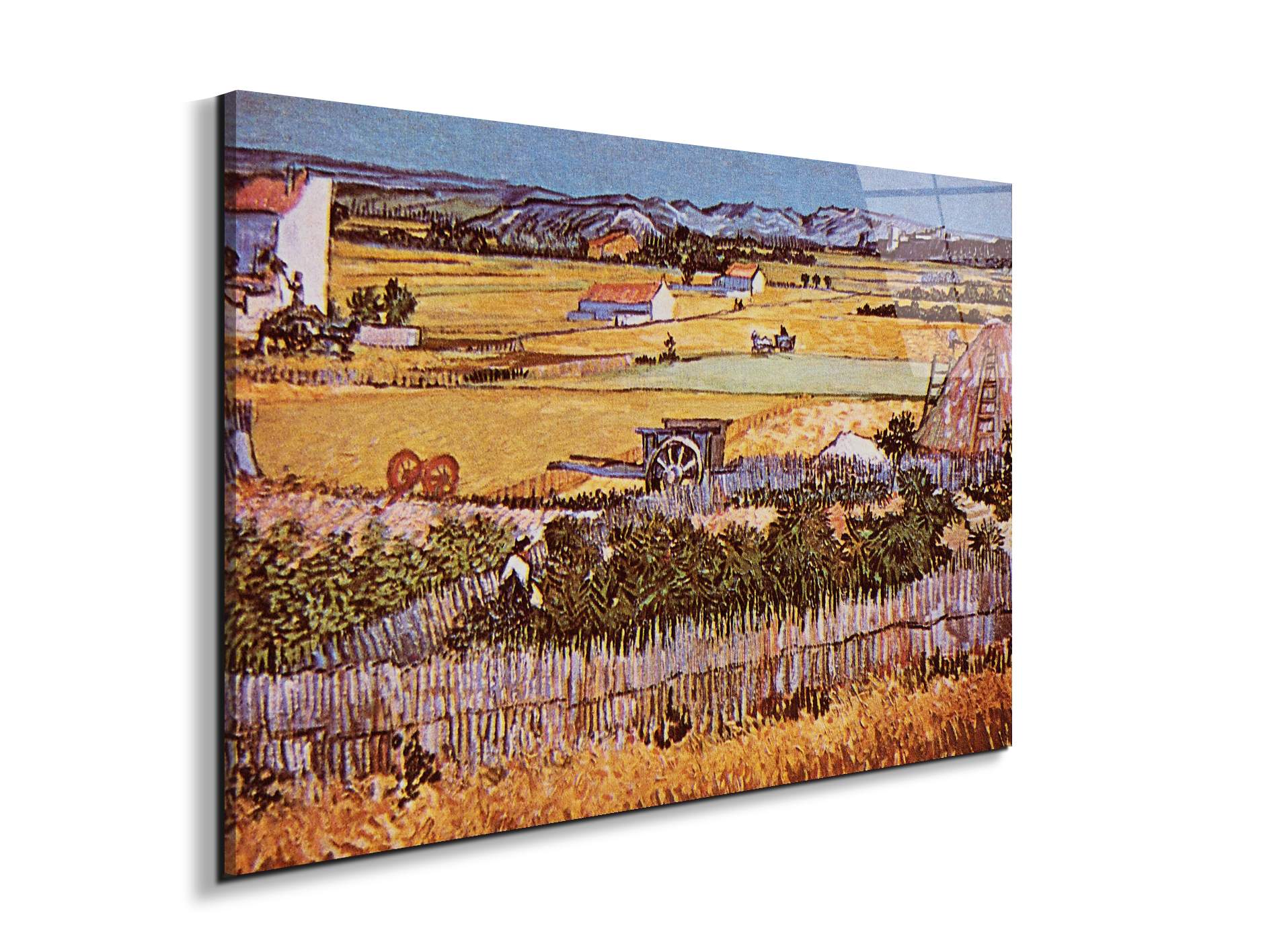 the-harvest-as90925-