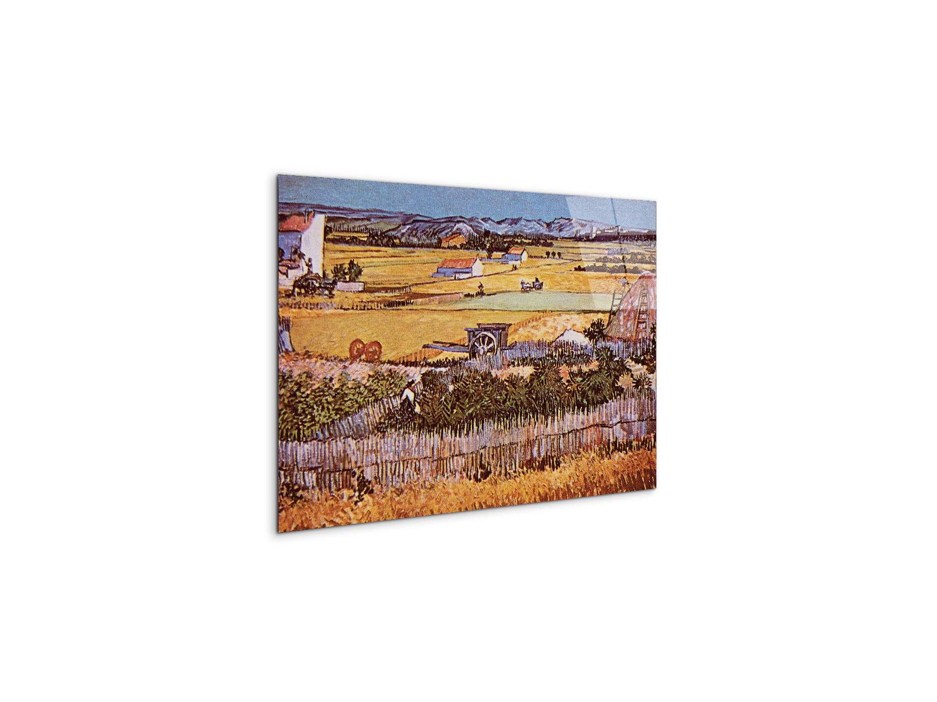 the-harvest-as90925-