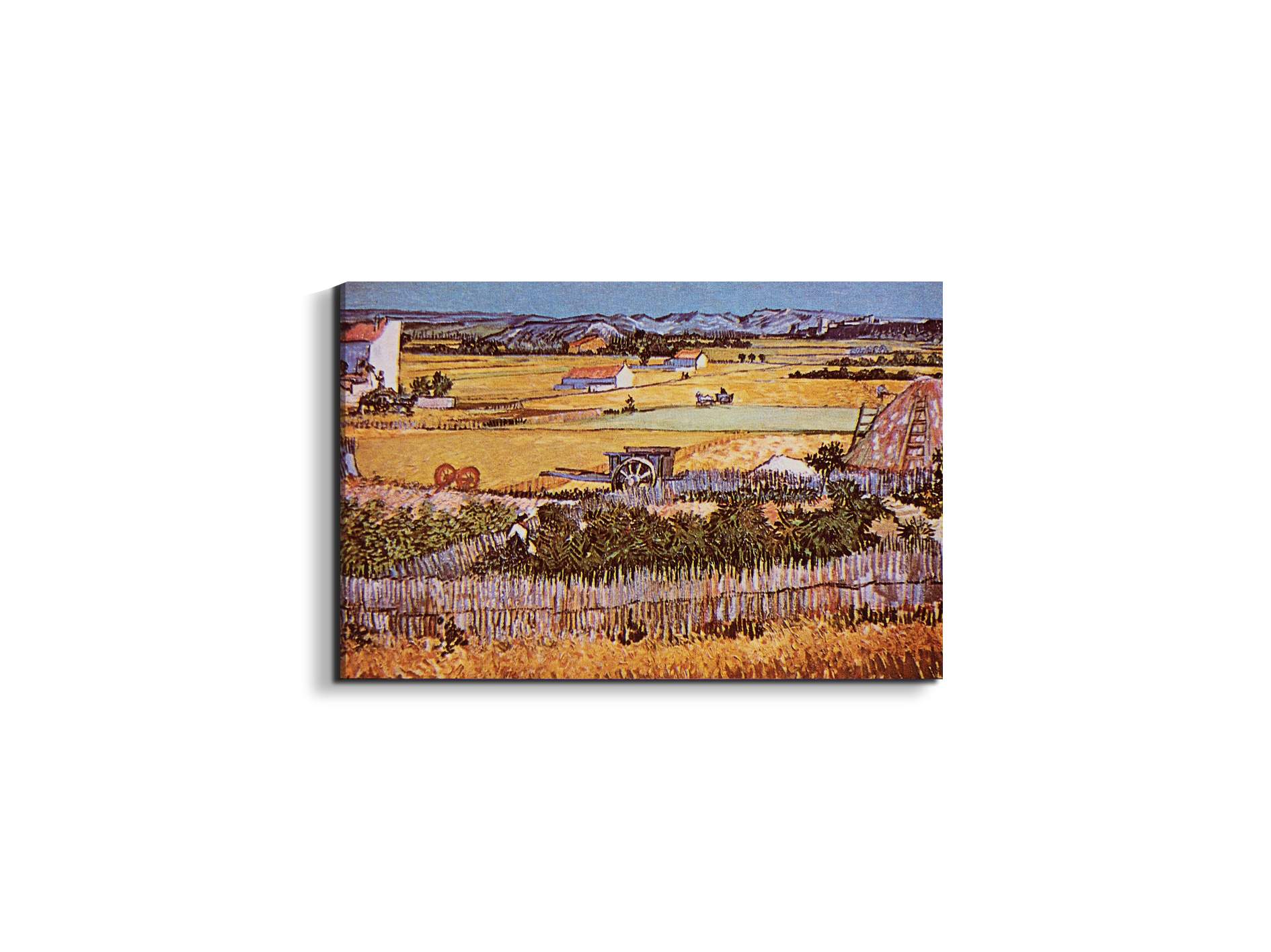 the-harvest-as90925-