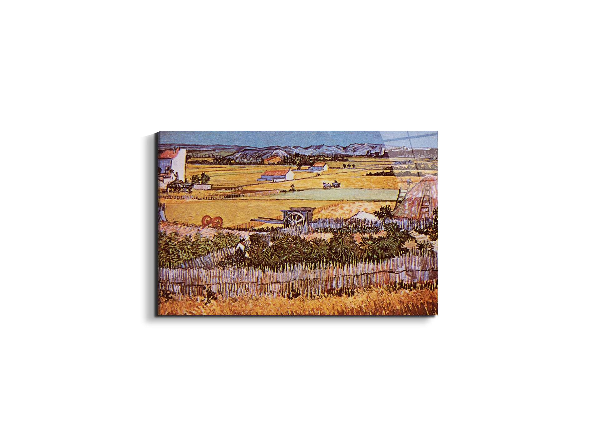 the-harvest-as90925-