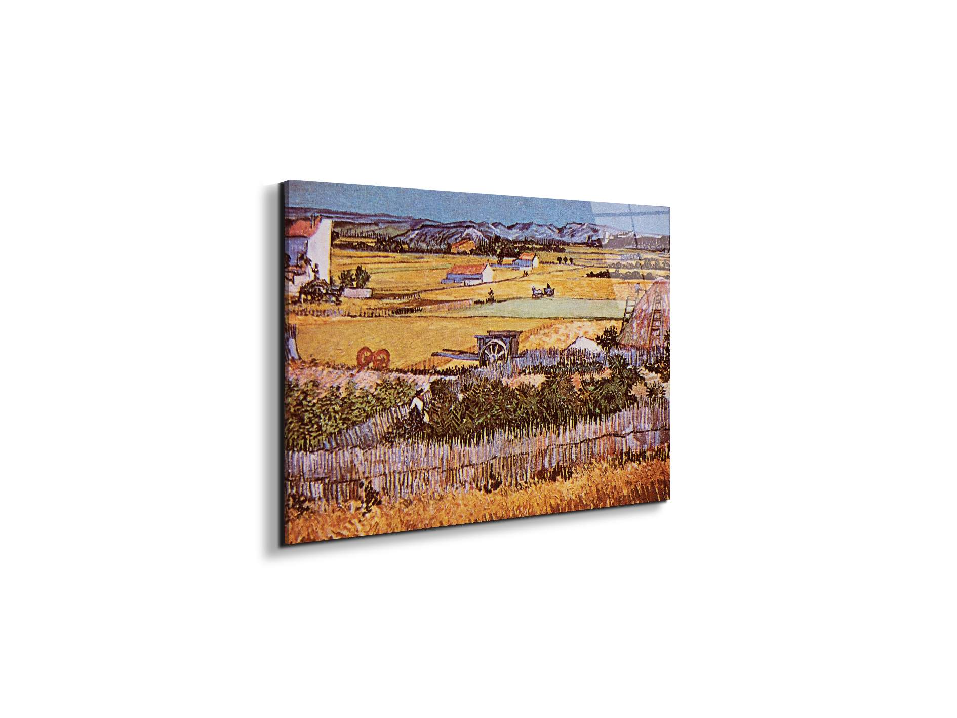 the-harvest-as90925-