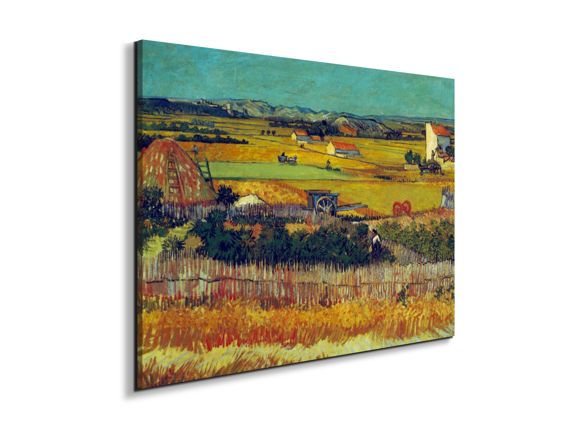 the-harvest-arles-as90927-