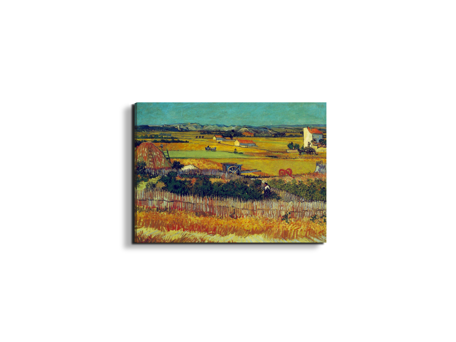 the-harvest-arles-as90927-