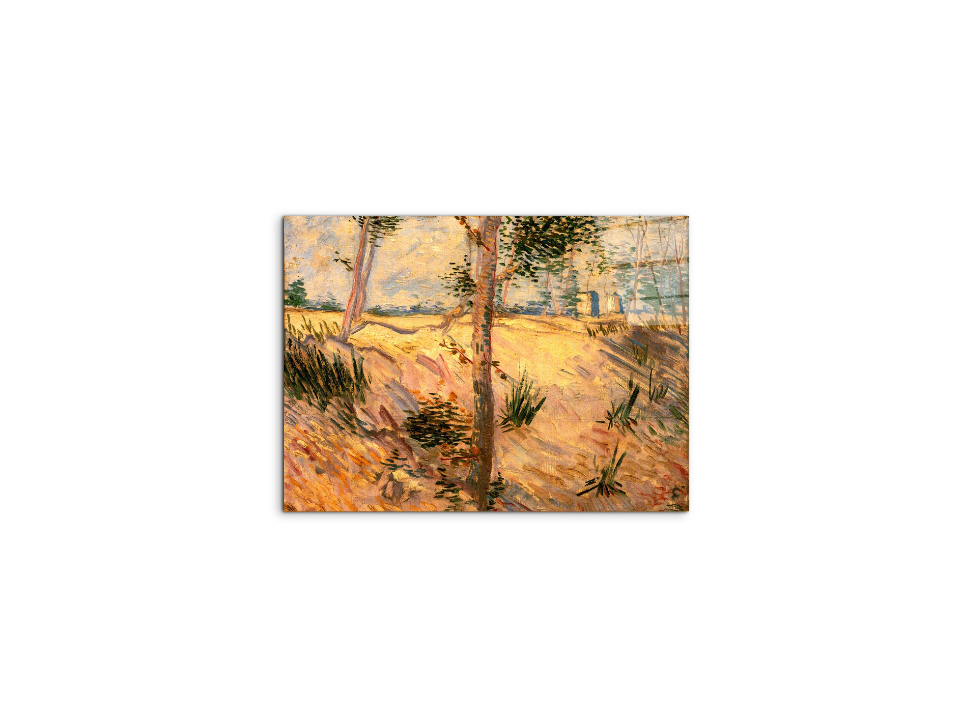 trees-in-a-field-on-a-sunny-dayas90951-#materiale_CrystalArt/dimensioni_50x37,50