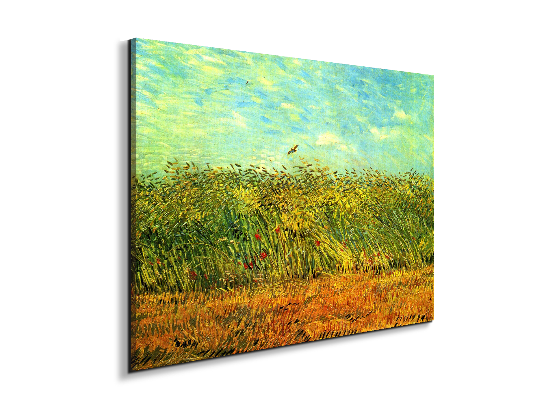 wheat-field-with-a-larkas90999-