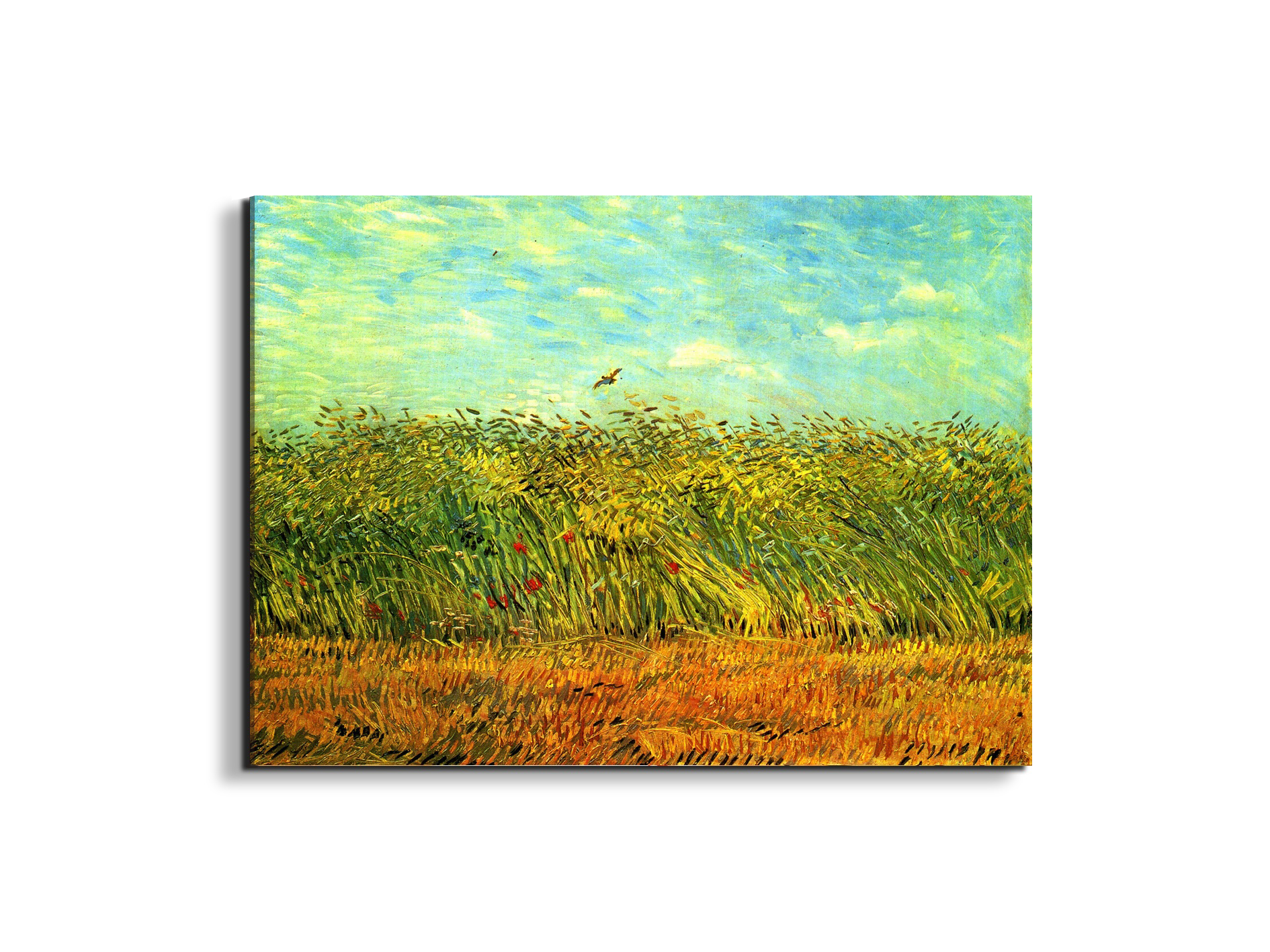 wheat-field-with-a-larkas90999-