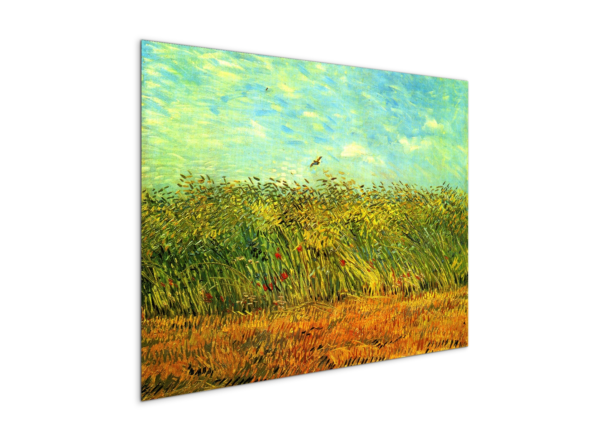 wheat-field-with-a-larkas90999-