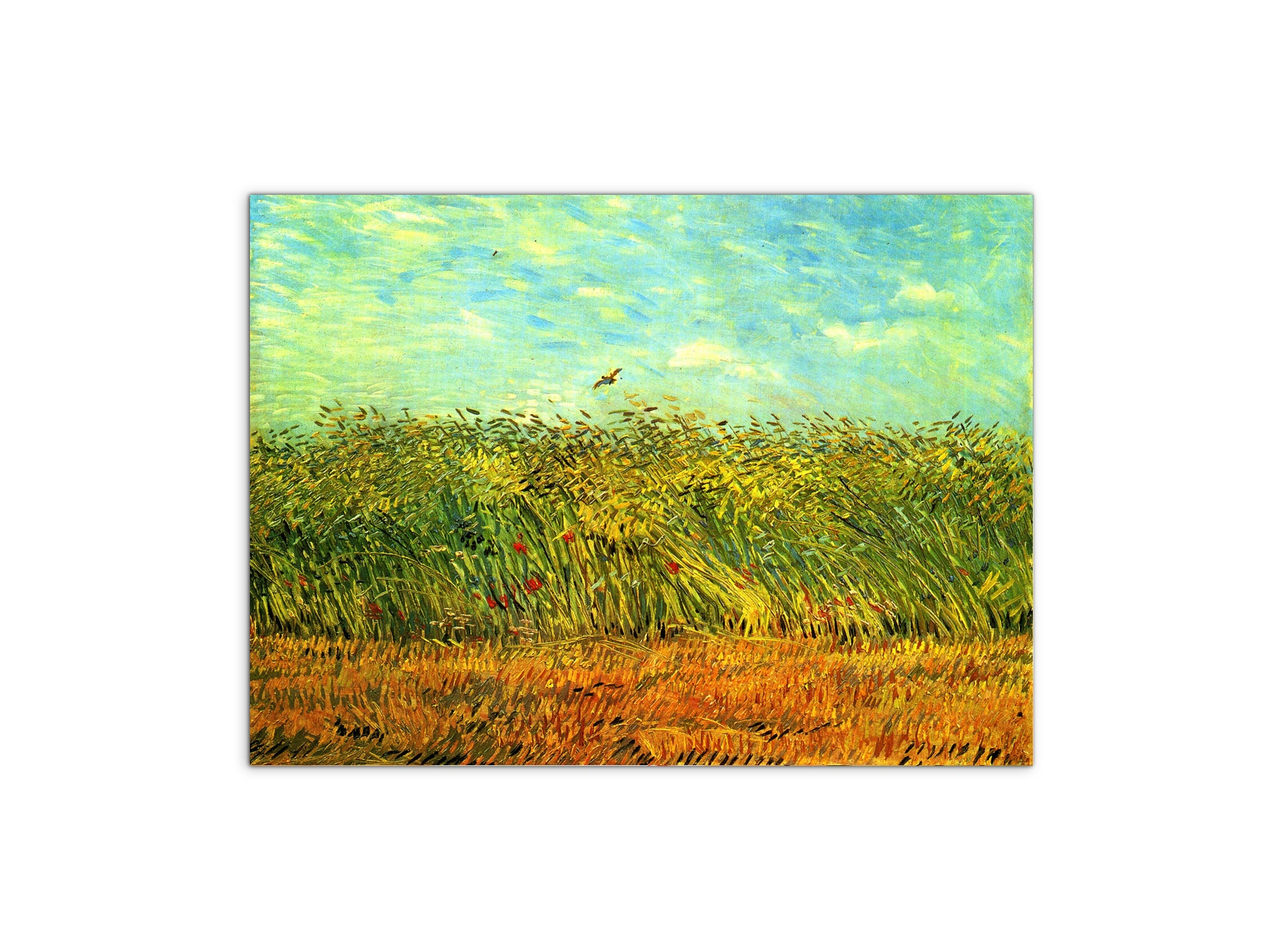 wheat-field-with-a-larkas90999-