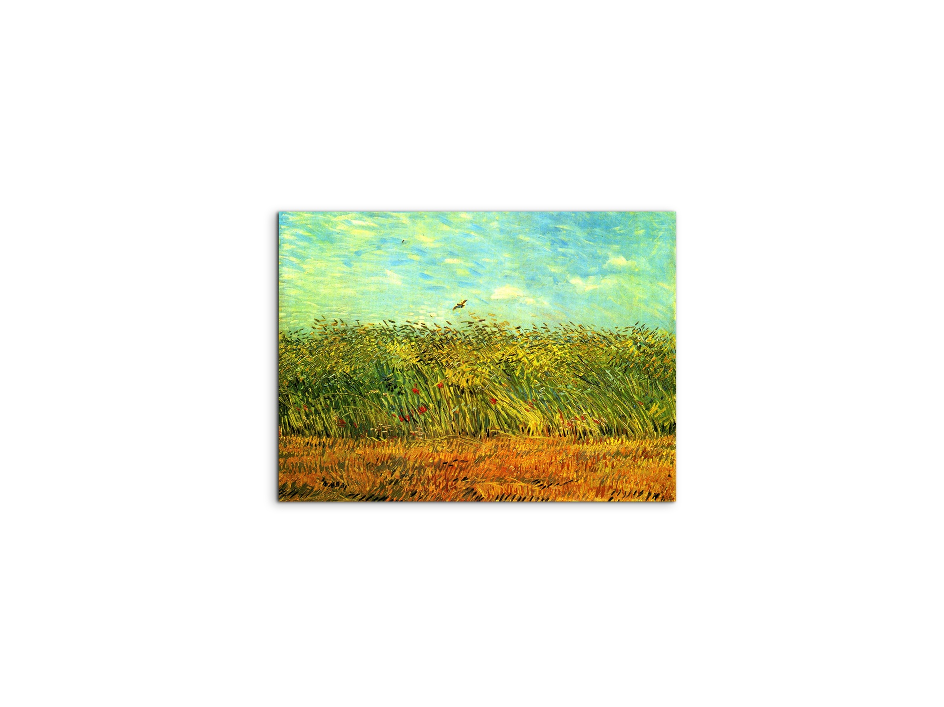 wheat-field-with-a-larkas90999-