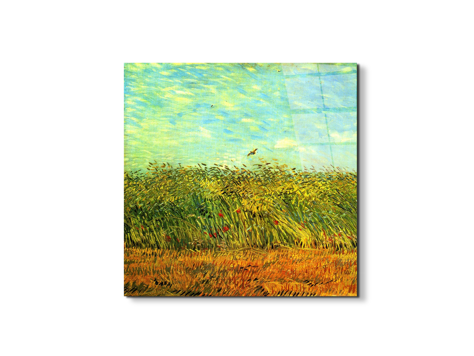 wheat-field-with-a-larkas91001-