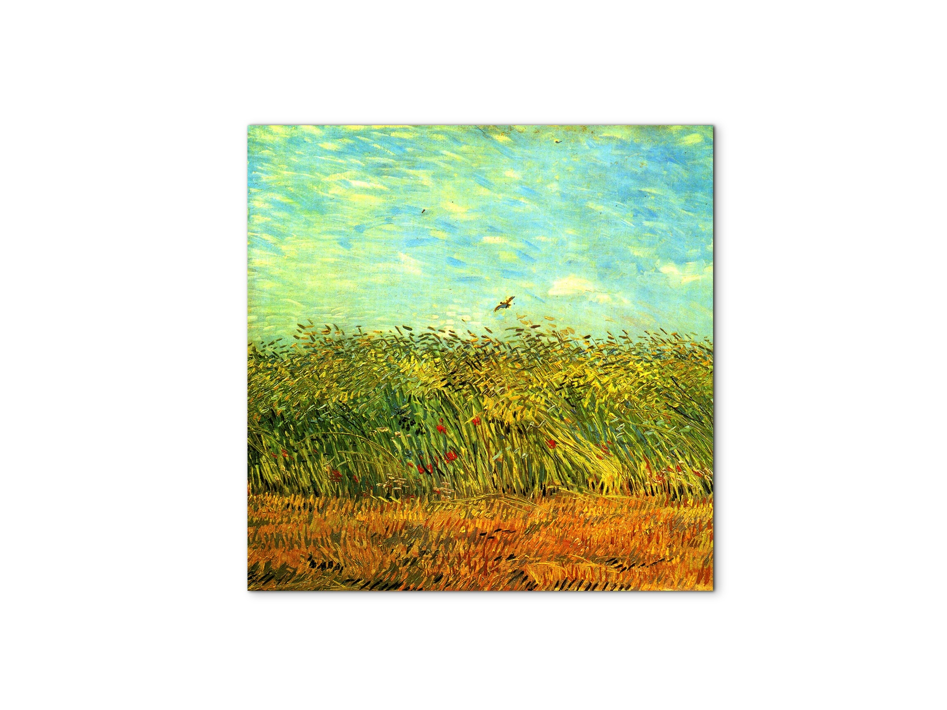 wheat-field-with-a-larkas91001-