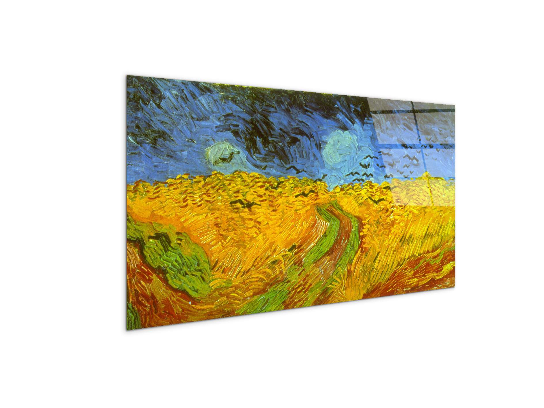 wheatfieldas91005-