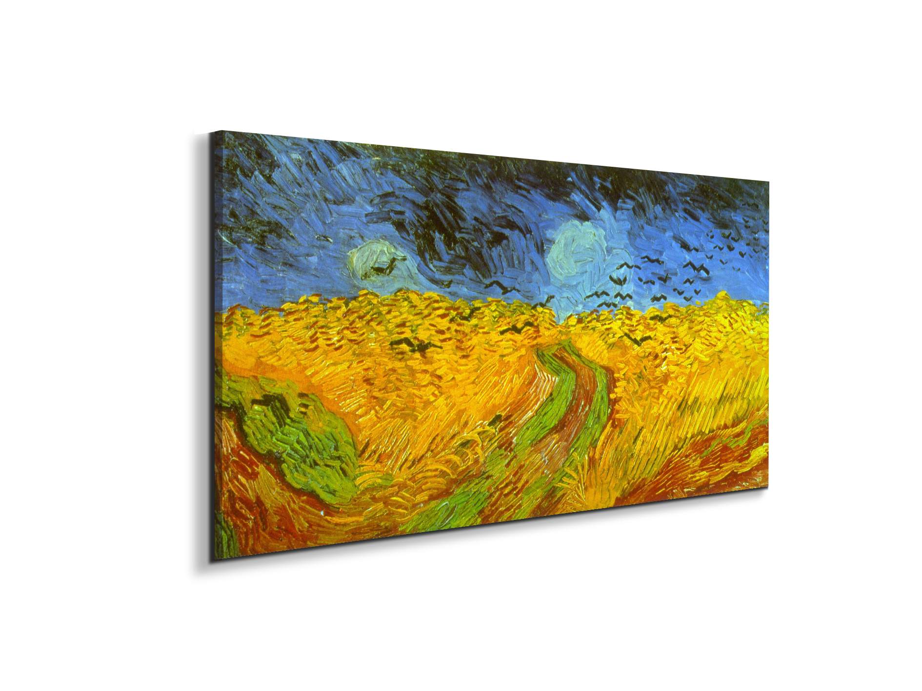 wheatfieldas91005-