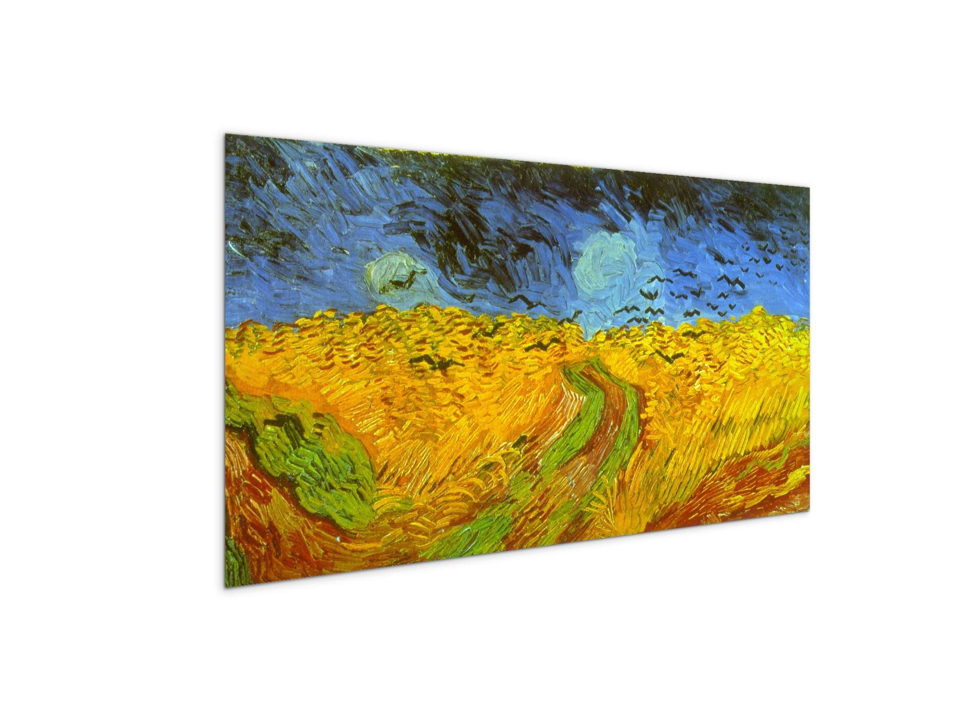 wheatfieldas91005-
