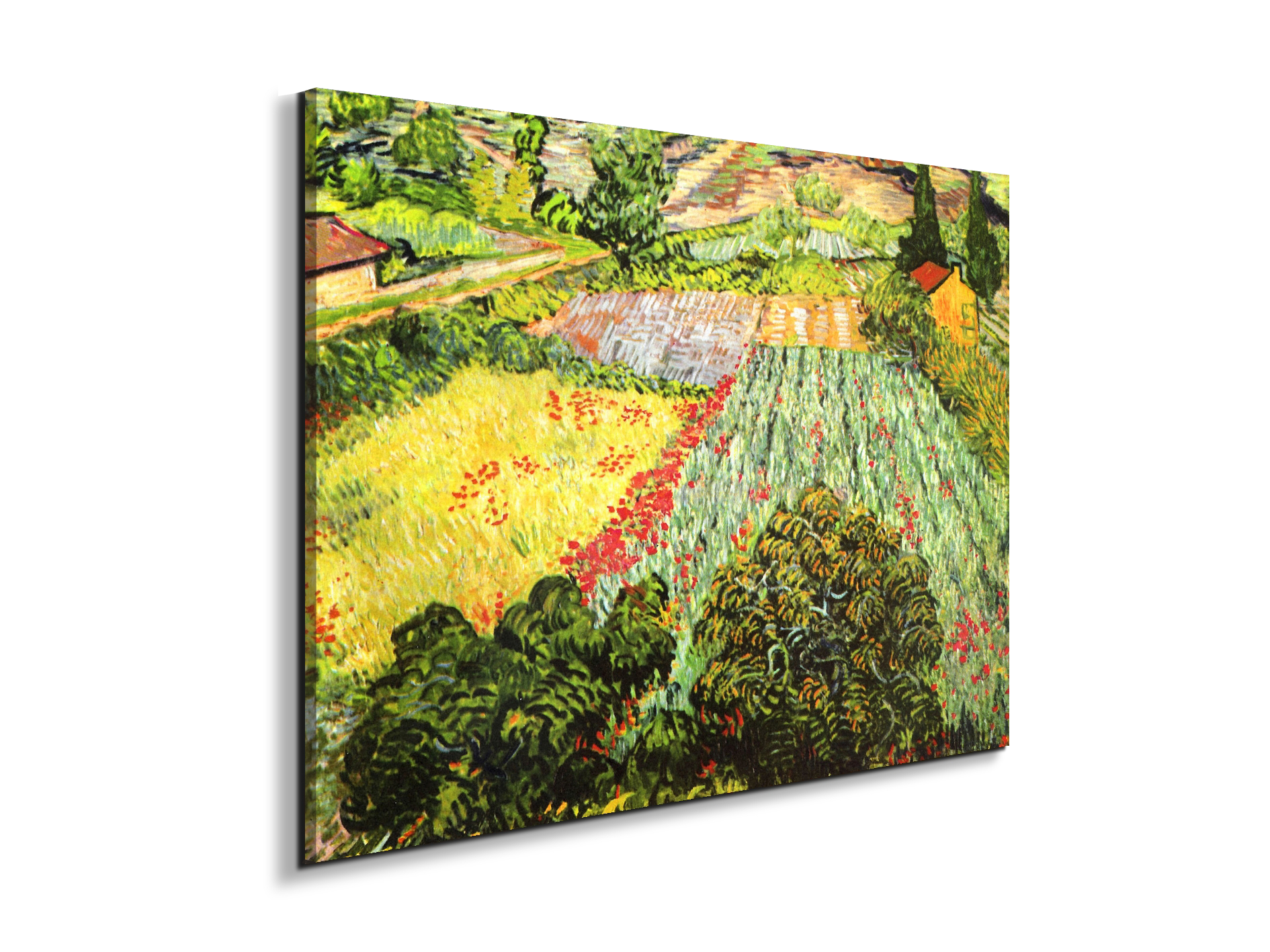blooming-fieldas91025-#materiale_EarthArt/dimensioni_76x57