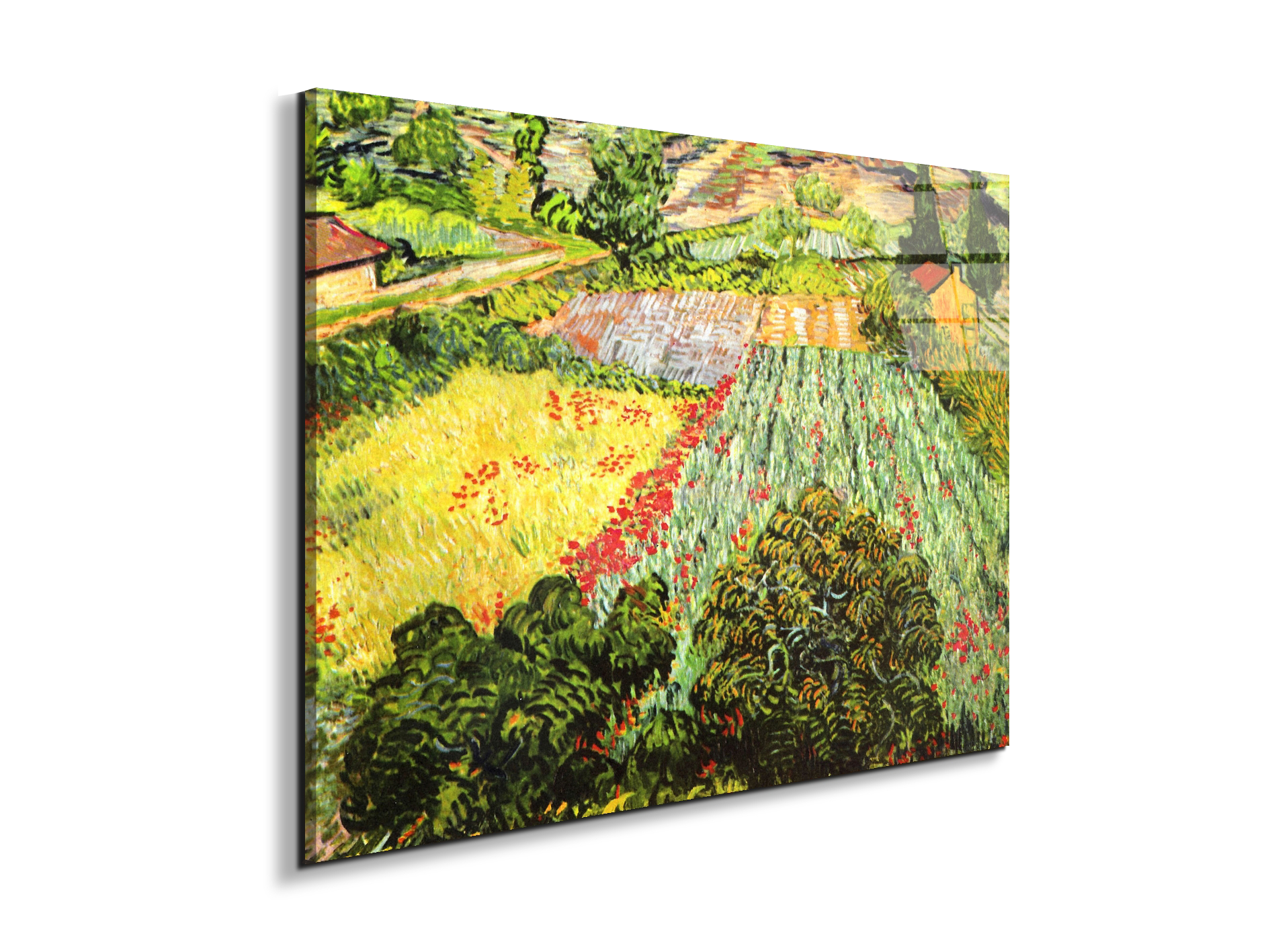 blooming-fieldas91025-#materiale_EarthArt Total Gloss/dimensioni_76x57
