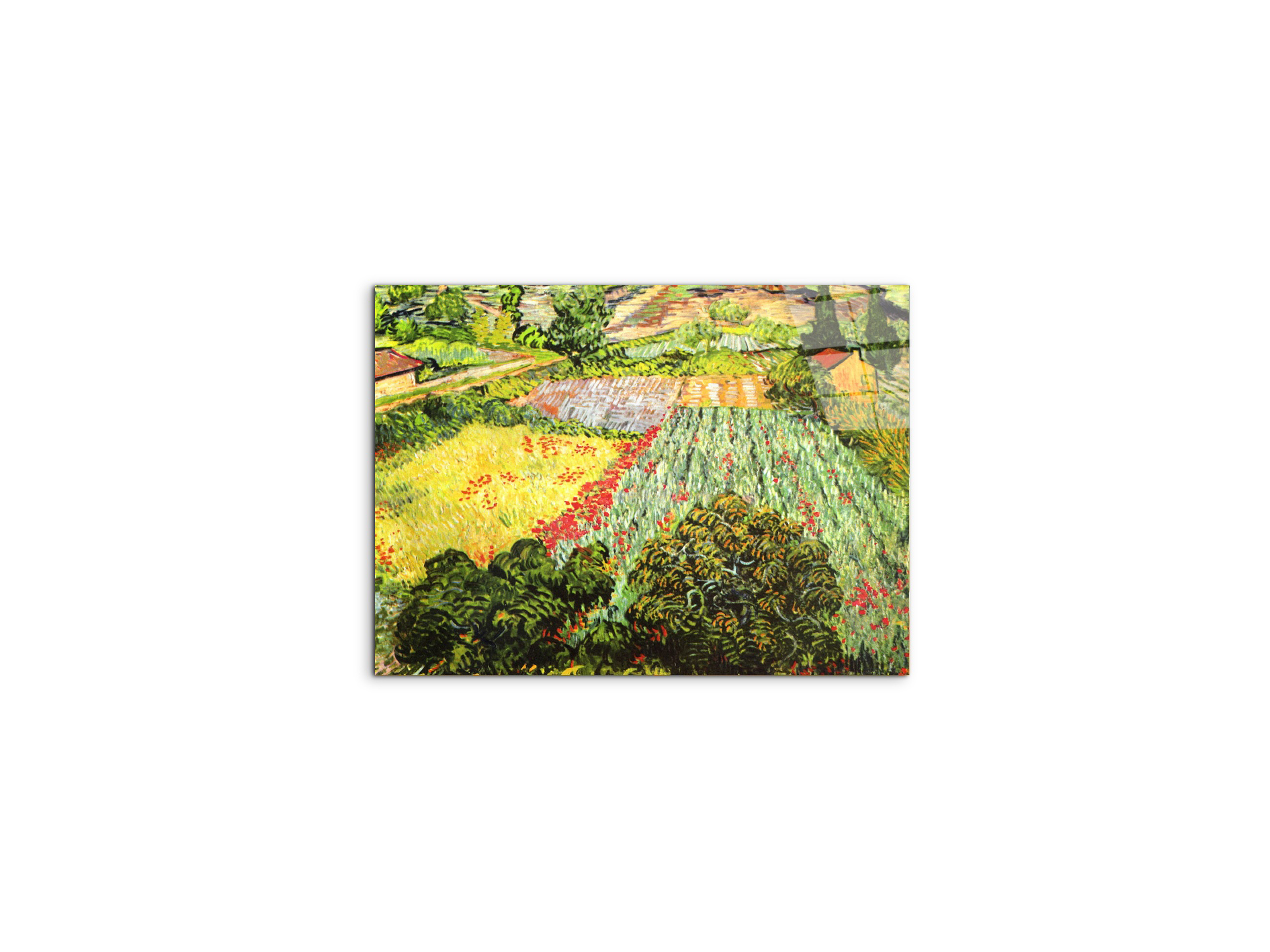 blooming-fieldas91025-#materiale_CrystalArt/dimensioni_50x37,50