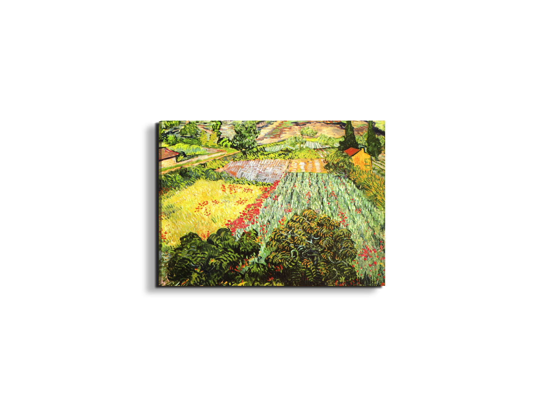 blooming-fieldas91025-#materiale_EarthArt/dimensioni_50x37,50