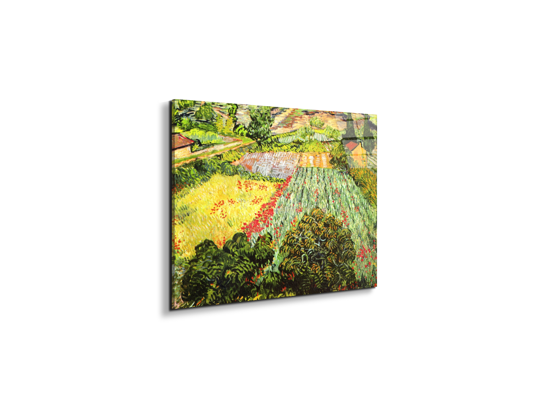 blooming-fieldas91025-#materiale_EarthArt Total Gloss/dimensioni_50x37,50
