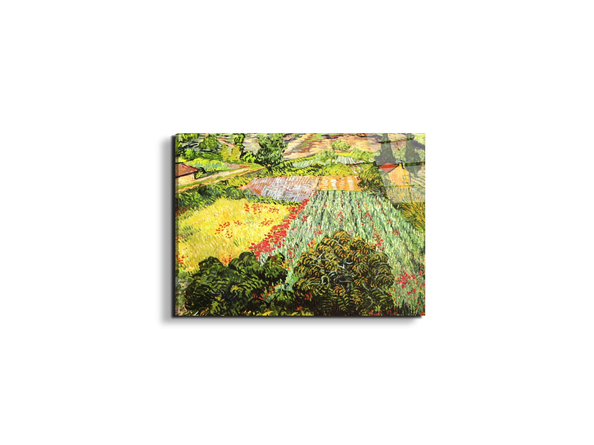 blooming-fieldas91025-#materiale_EarthArt Total Gloss/dimensioni_50x37,50