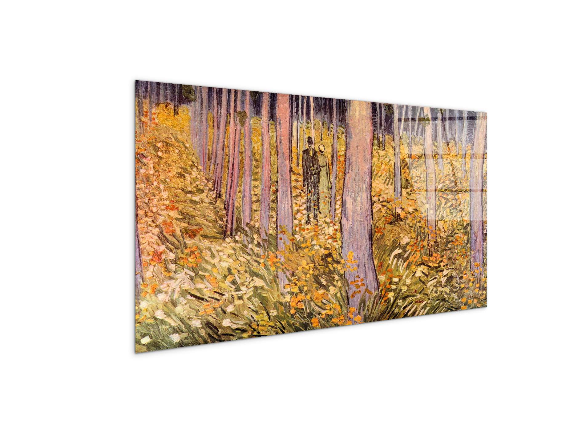 couple-walk-in-the-woodsas91039-