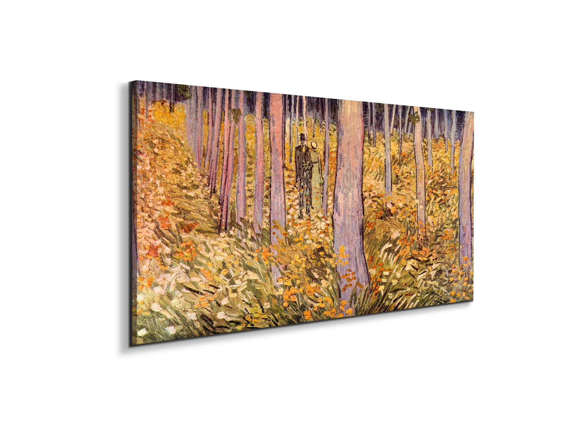 couple-walk-in-the-woodsas91039-