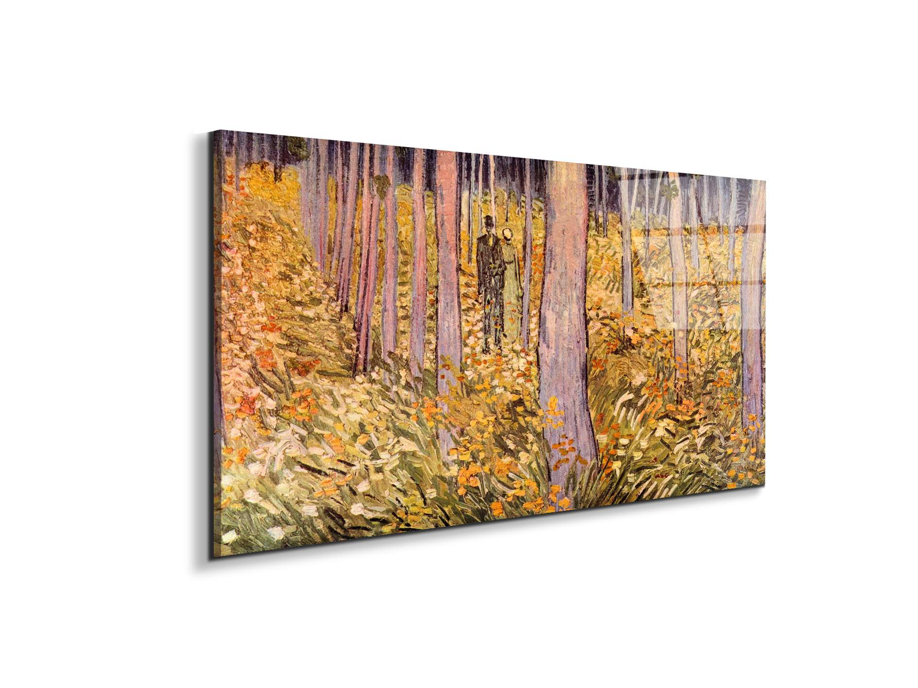 couple-walk-in-the-woodsas91039-