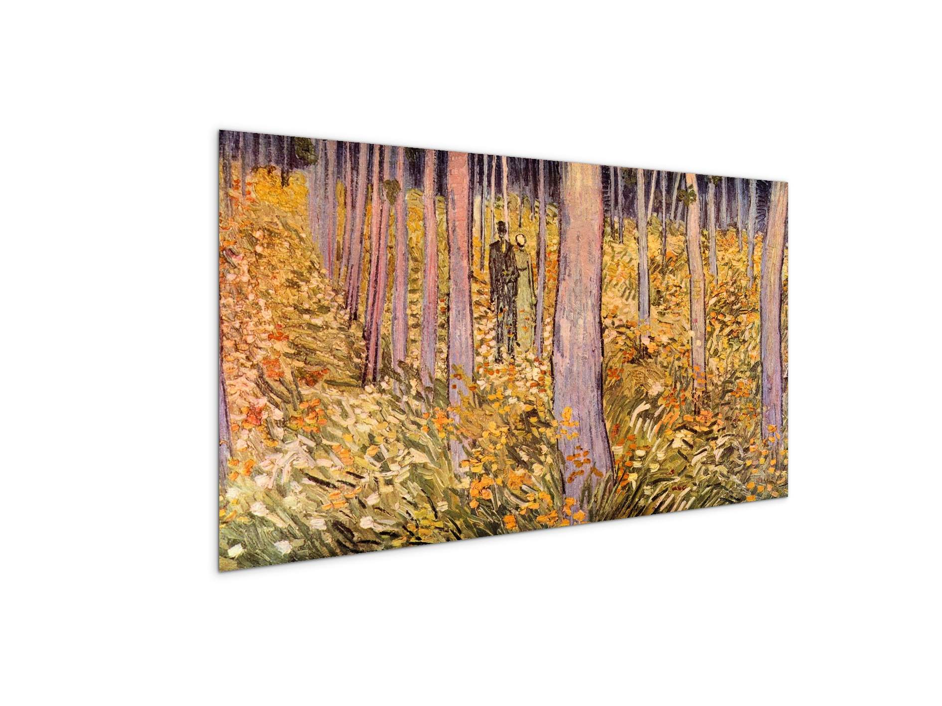 couple-walk-in-the-woodsas91039-