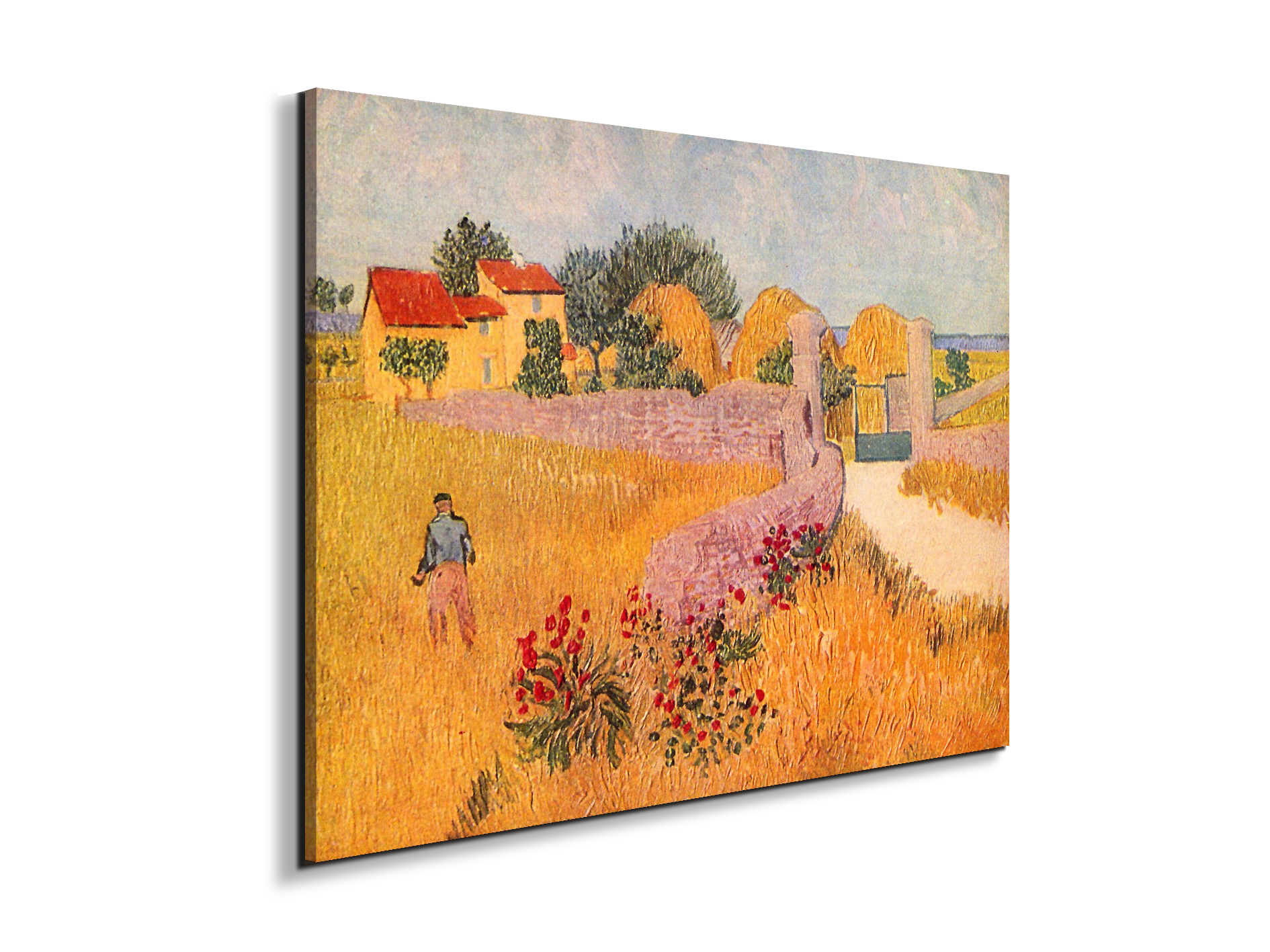 farmhouse-in-provenceas91055-#materiale_EarthArt/dimensioni_76x57