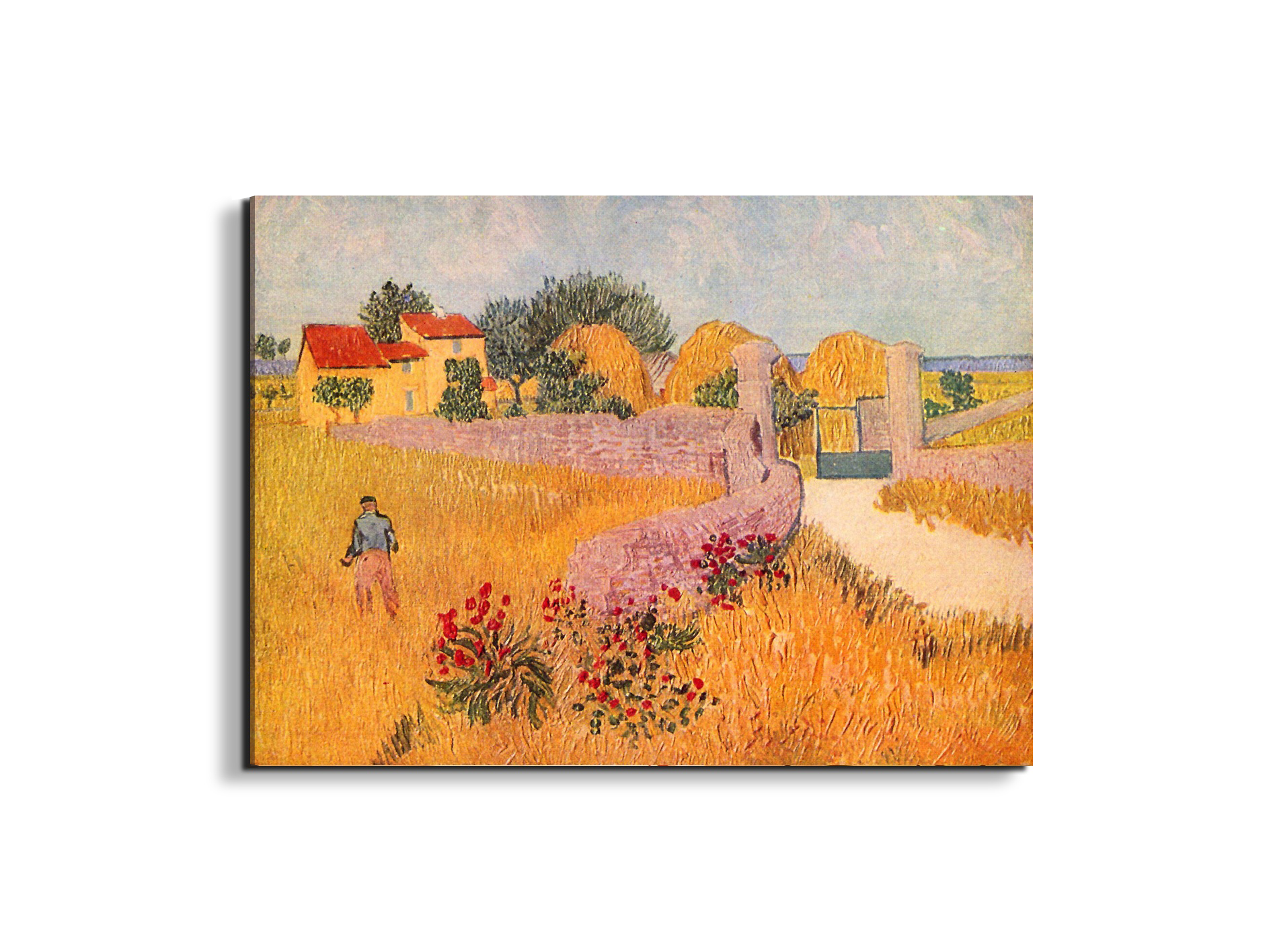 farmhouse-in-provenceas91055-#materiale_EarthArt/dimensioni_76x57