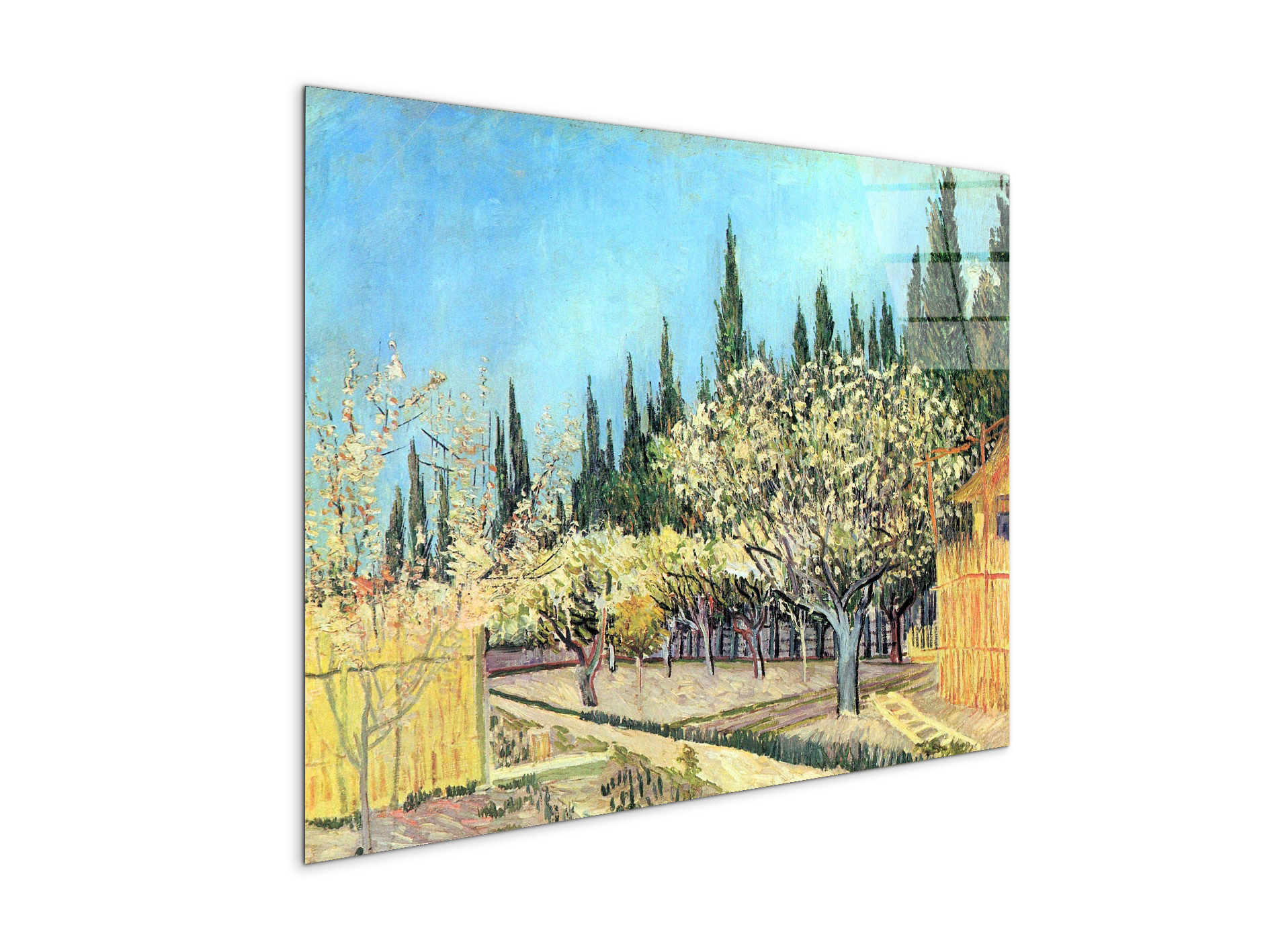 flowering-fruit-garden-surrounded-by-cypress-as91067-