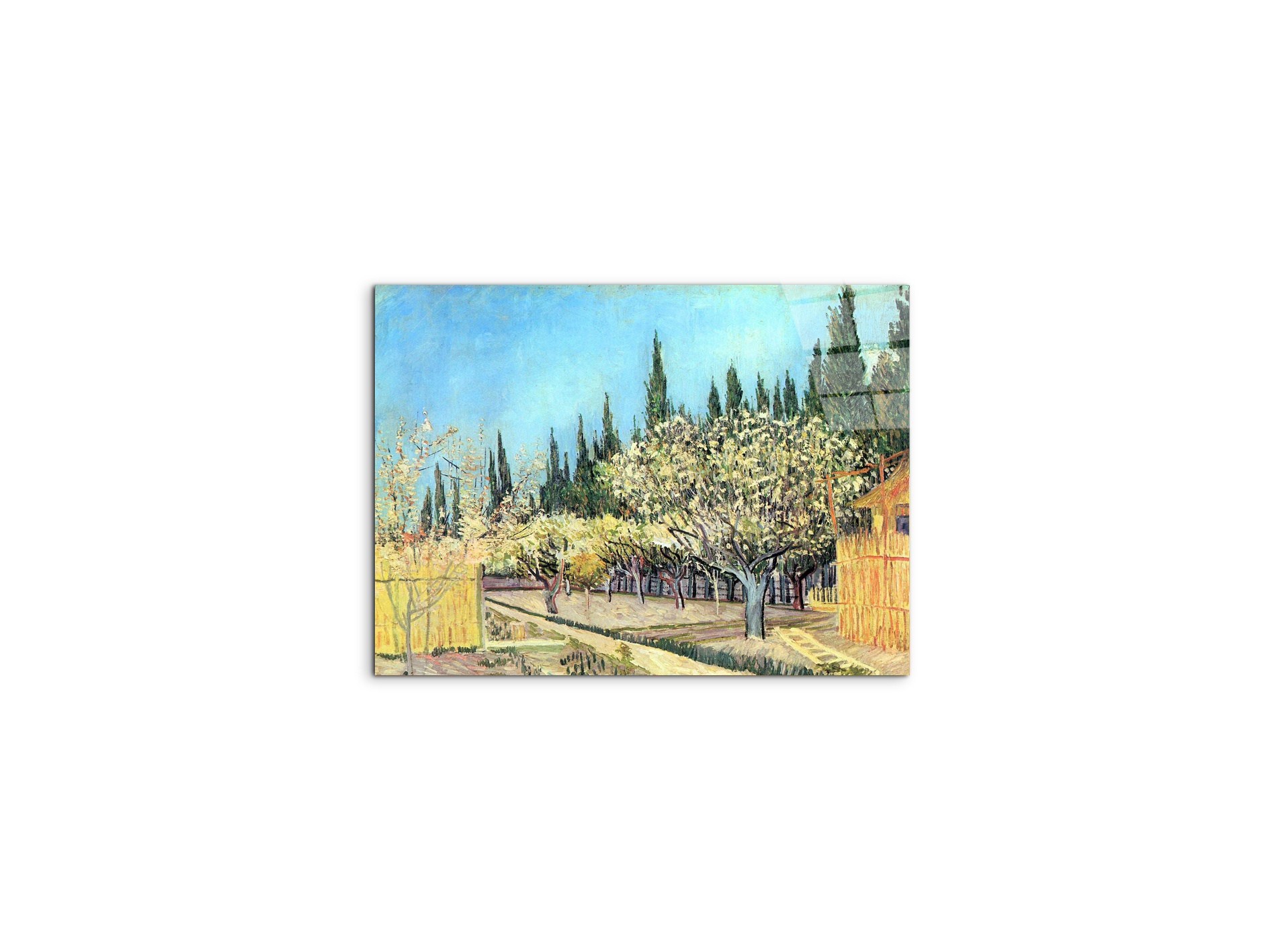 flowering-fruit-garden-surrounded-by-cypress-as91067-