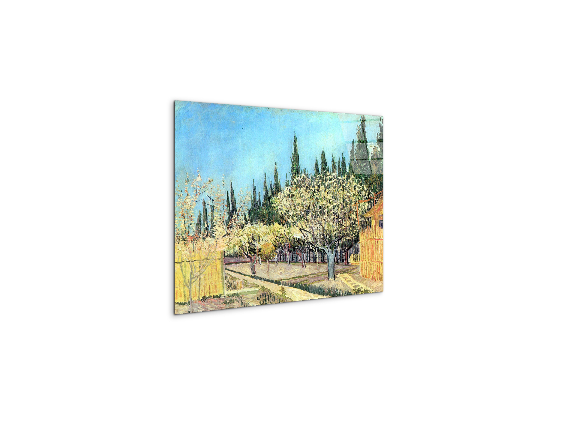 flowering-fruit-garden-surrounded-by-cypress-as91067-