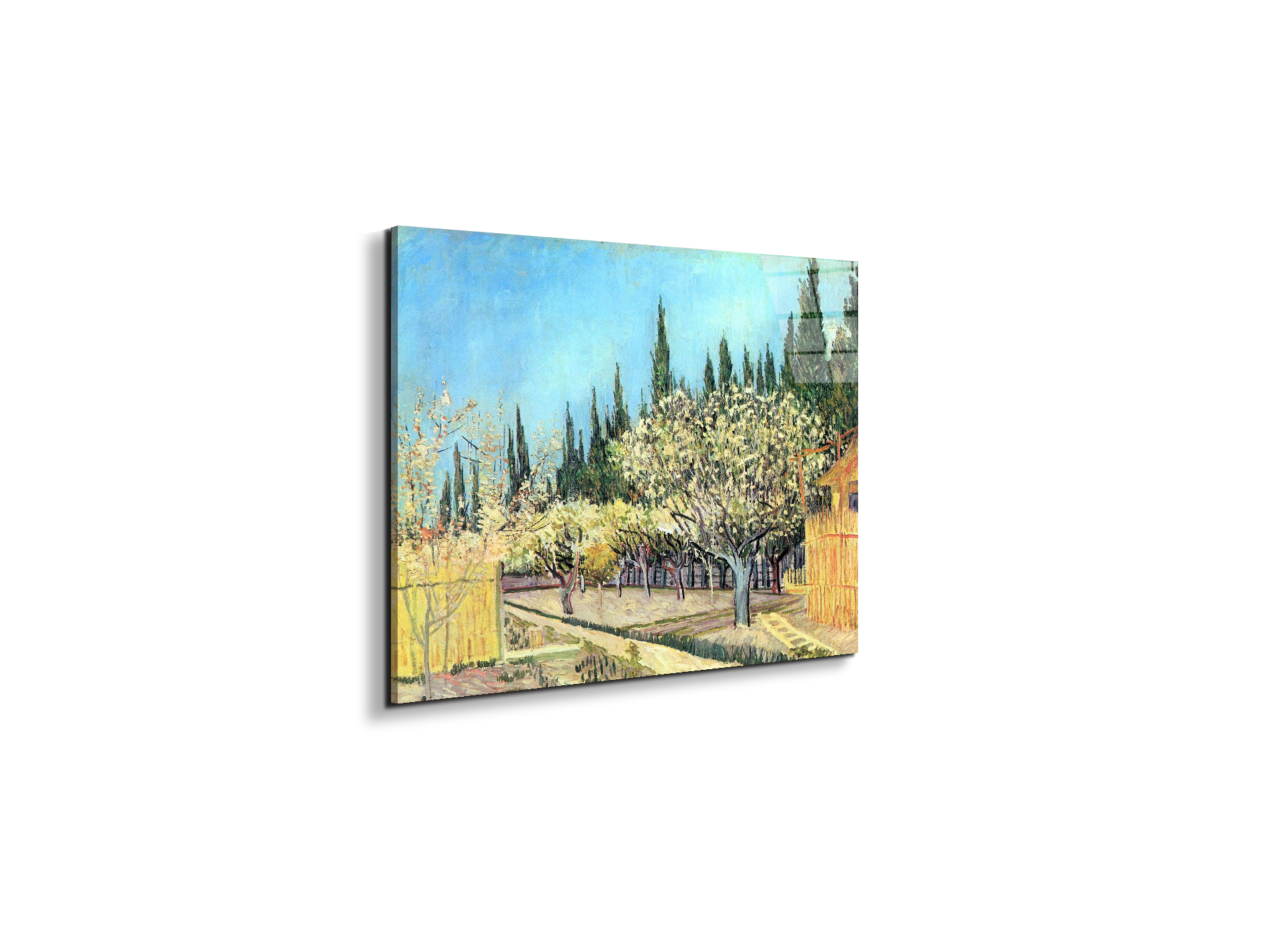 flowering-fruit-garden-surrounded-by-cypress-as91067-