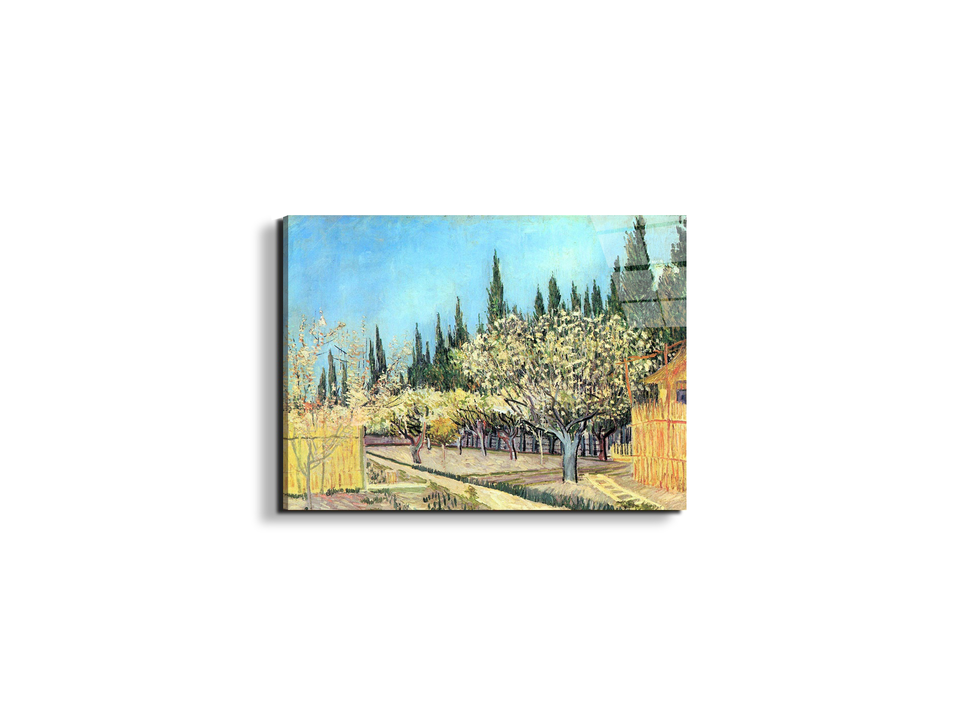 flowering-fruit-garden-surrounded-by-cypress-as91067-