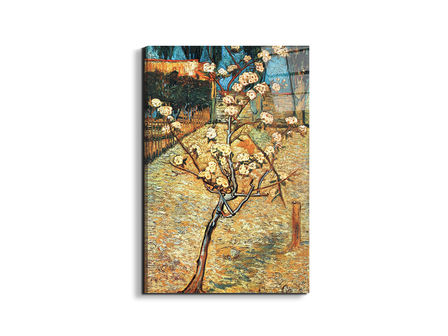 #materiale_EarthArt Total Gloss/dimensioni_53x79,5