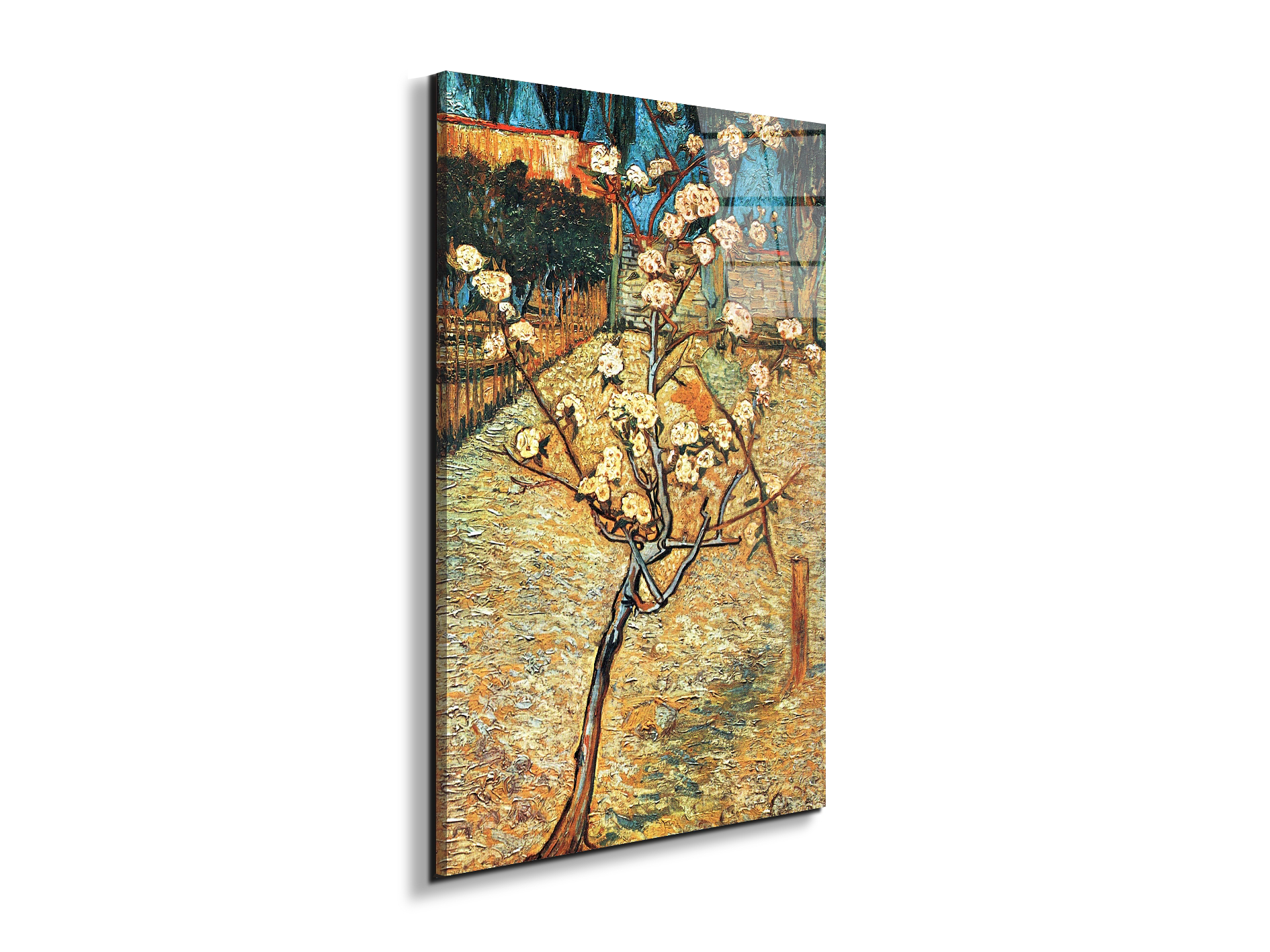 #materiale_EarthArt Total Gloss/dimensioni_53x79,5