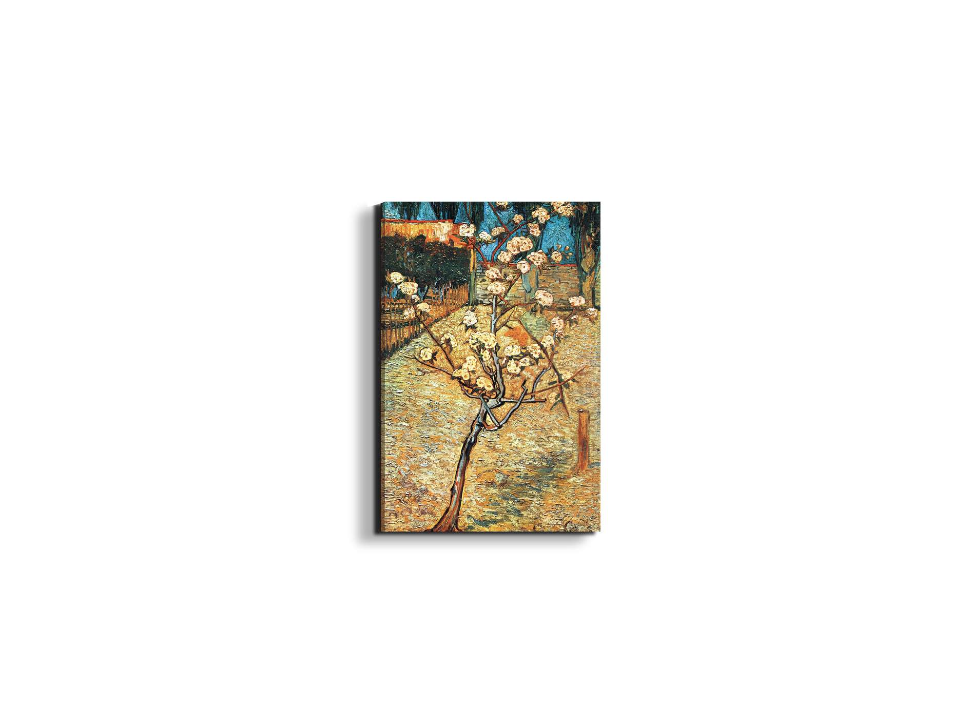 #materiale_EarthArt/dimensioni_33,33x50
