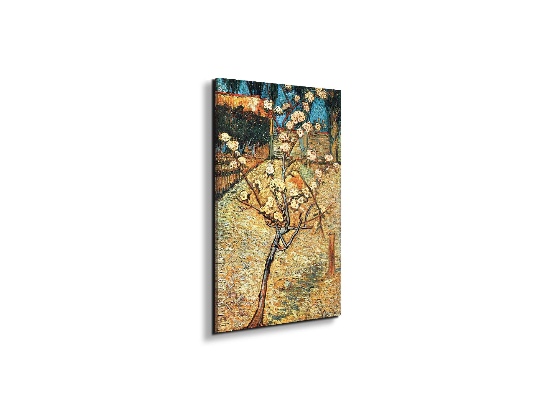 #materiale_EarthArt/dimensioni_33,33x50