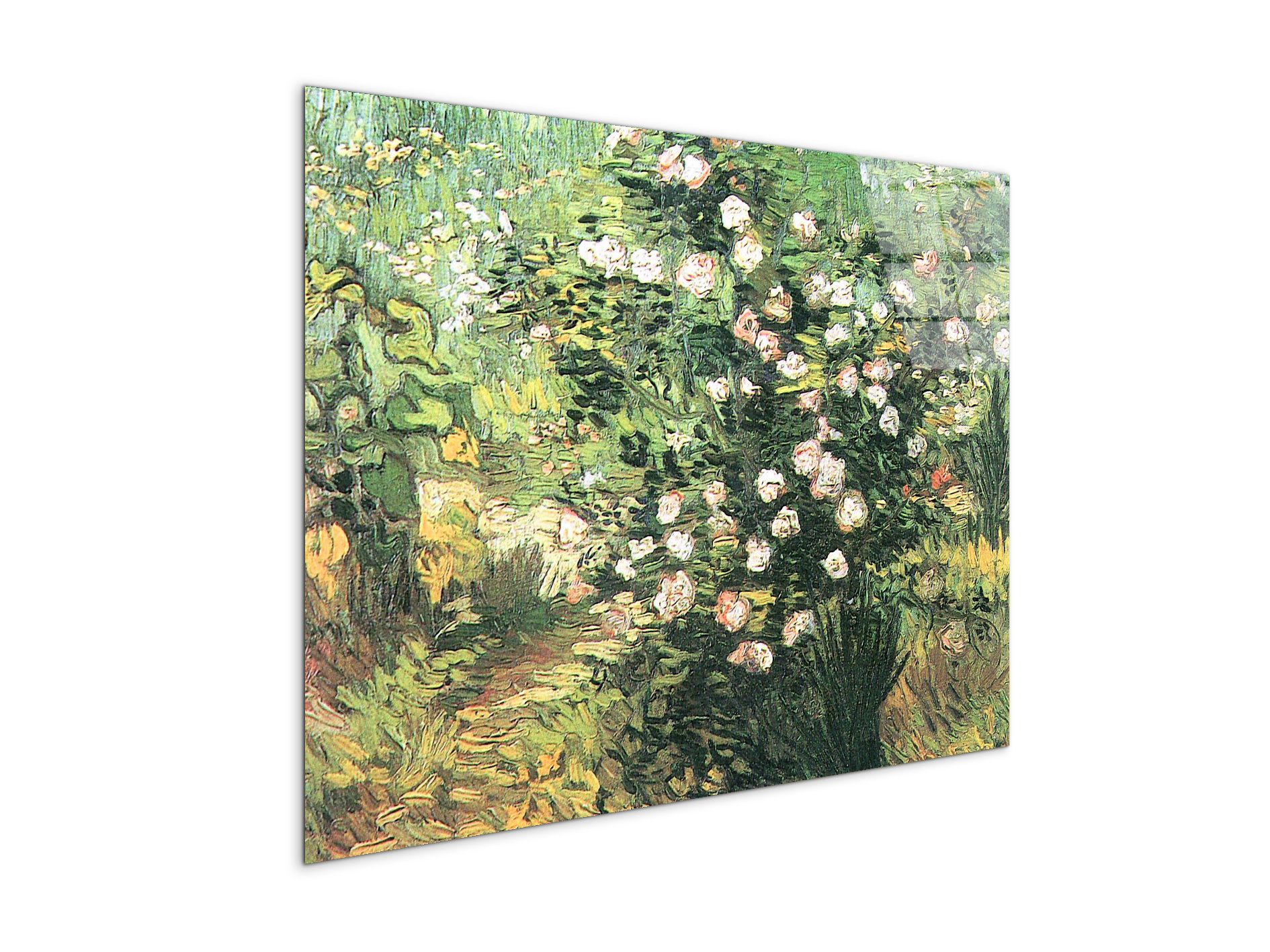 flowering-rosebushas91071-#materiale_CrystalArt/dimensioni_76x57