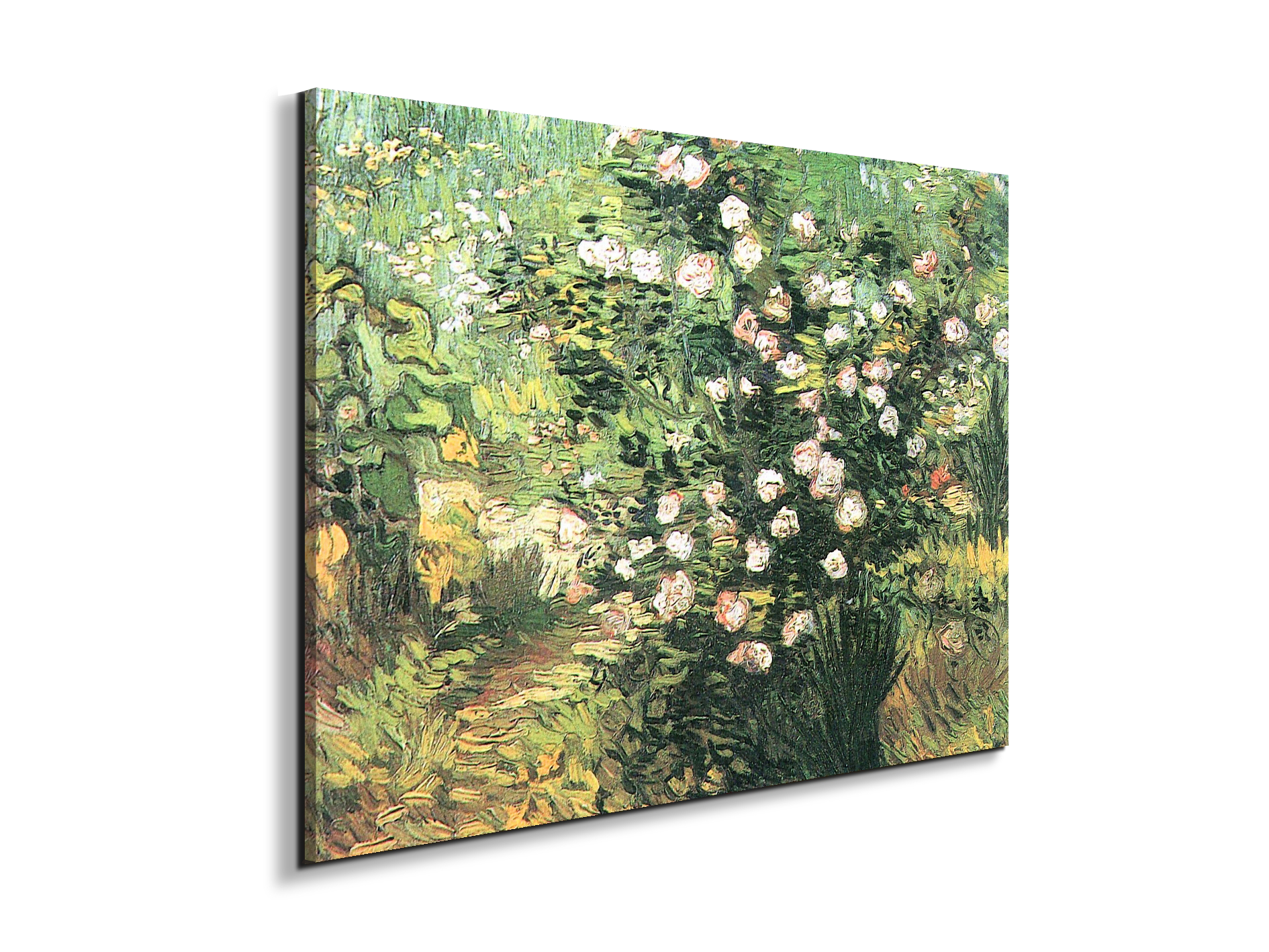 flowering-rosebushas91071-#materiale_EarthArt Materic/dimensioni_76x57