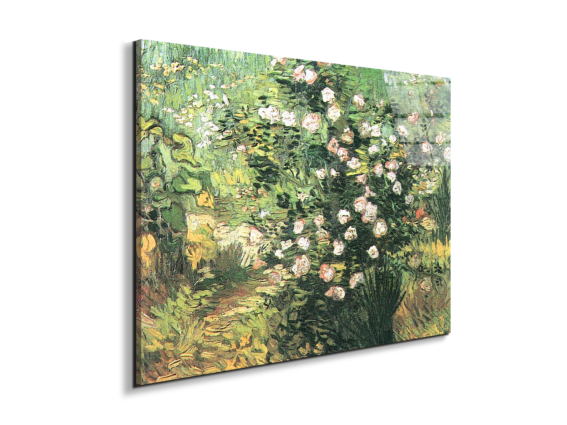 flowering-rosebushas91071-#materiale_EarthArt Total Gloss/dimensioni_76x57