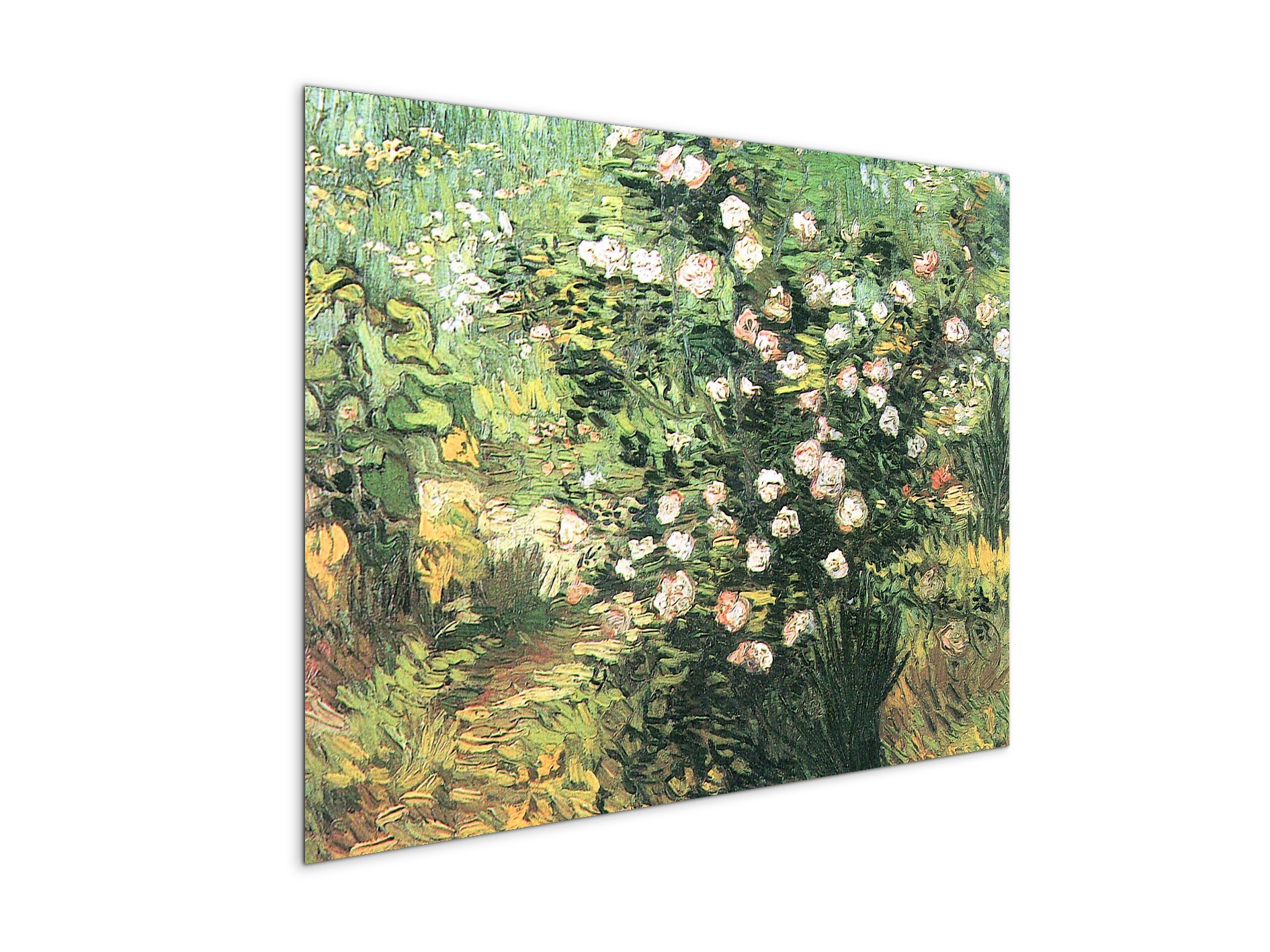 flowering-rosebushas91071-#materiale_MetalArt Materic/dimensioni_76x57