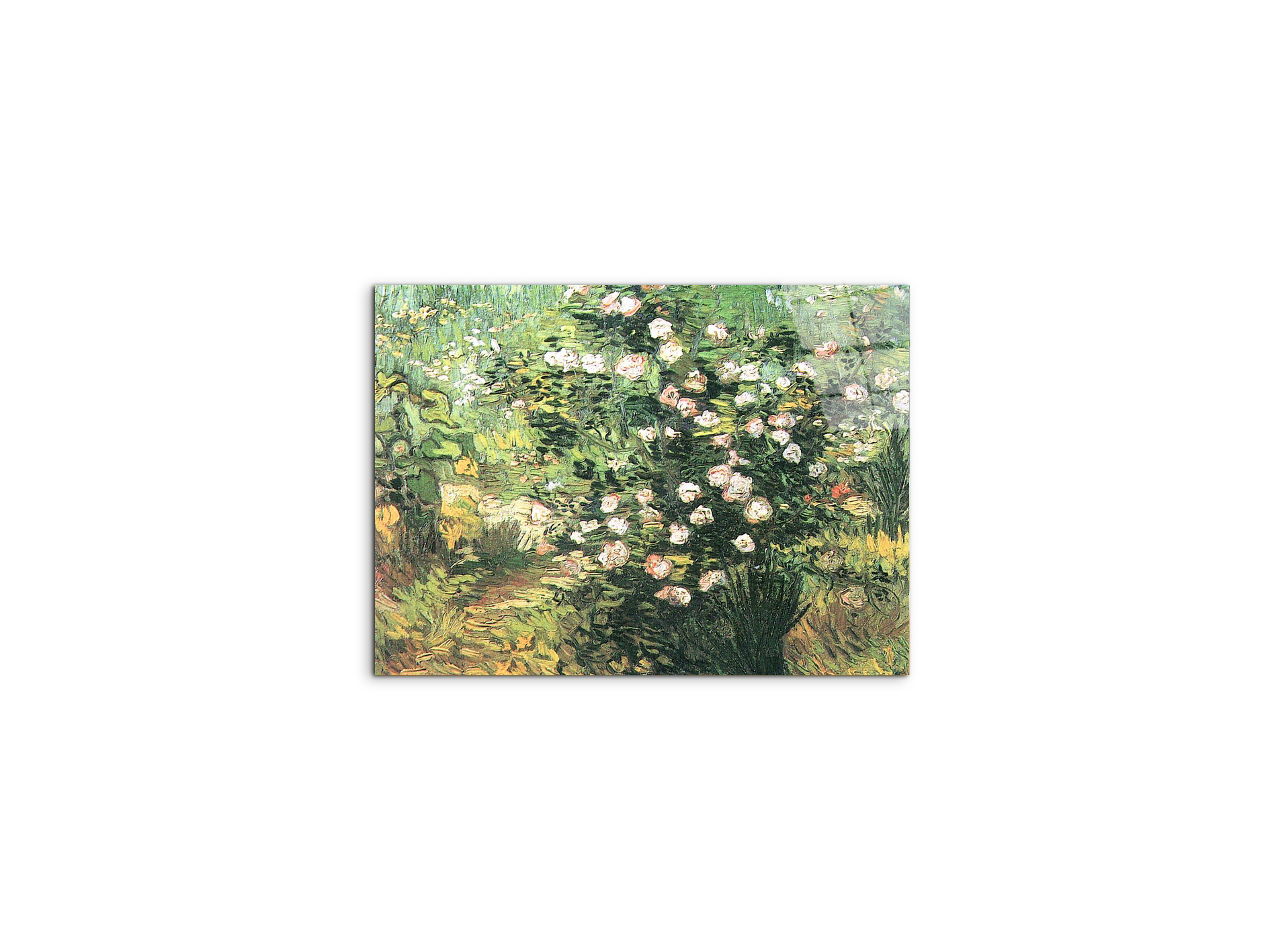 flowering-rosebushas91071-#materiale_CrystalArt/dimensioni_50x37,50